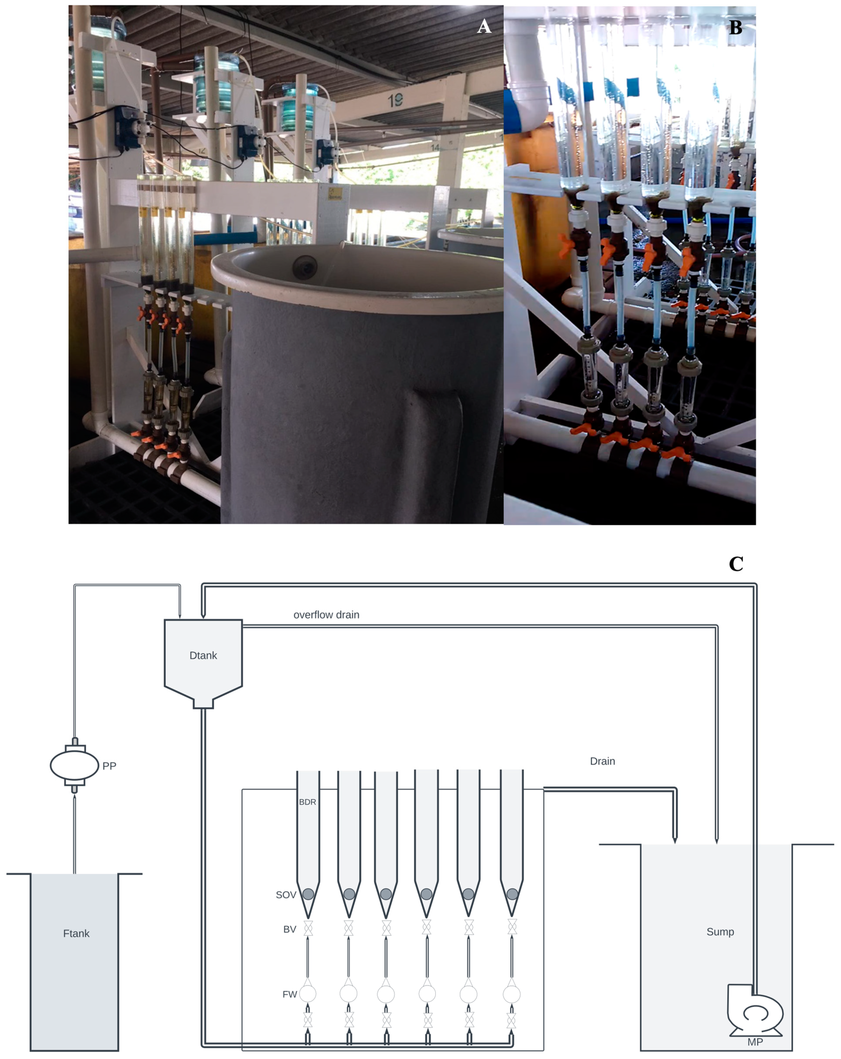 Fishes 09 00183 g001