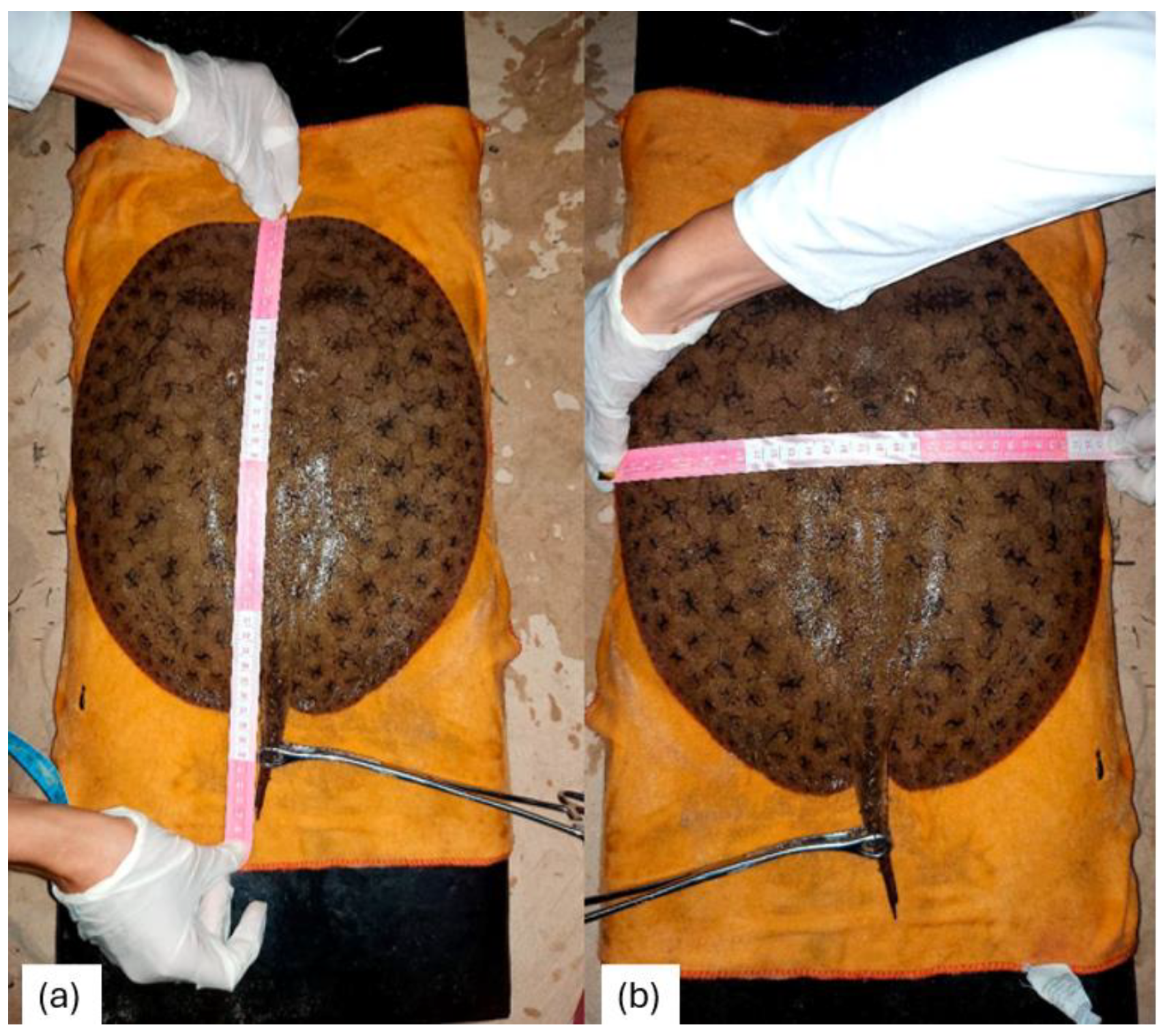 Fishes 09 00186 g003