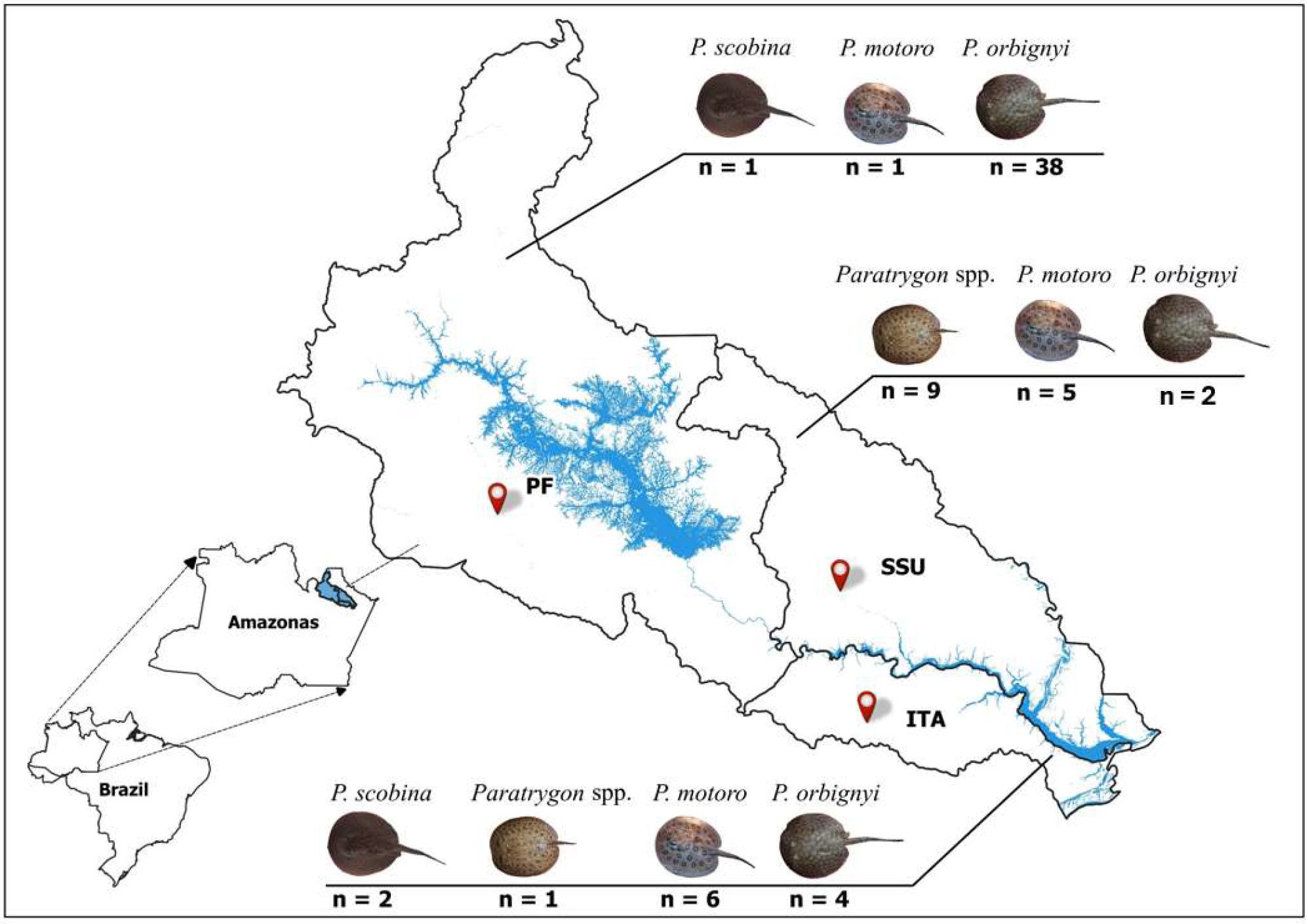 Fishes 09 00186 g004