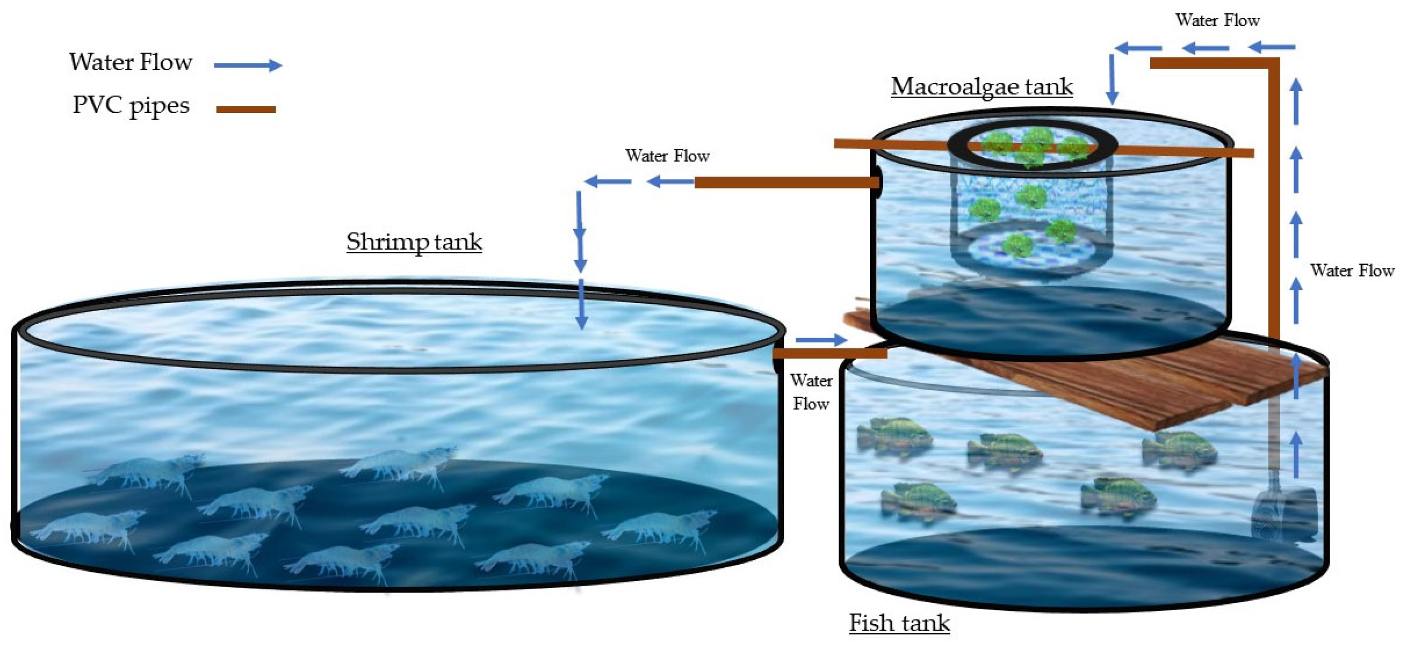 Fishes 09 00191 g001