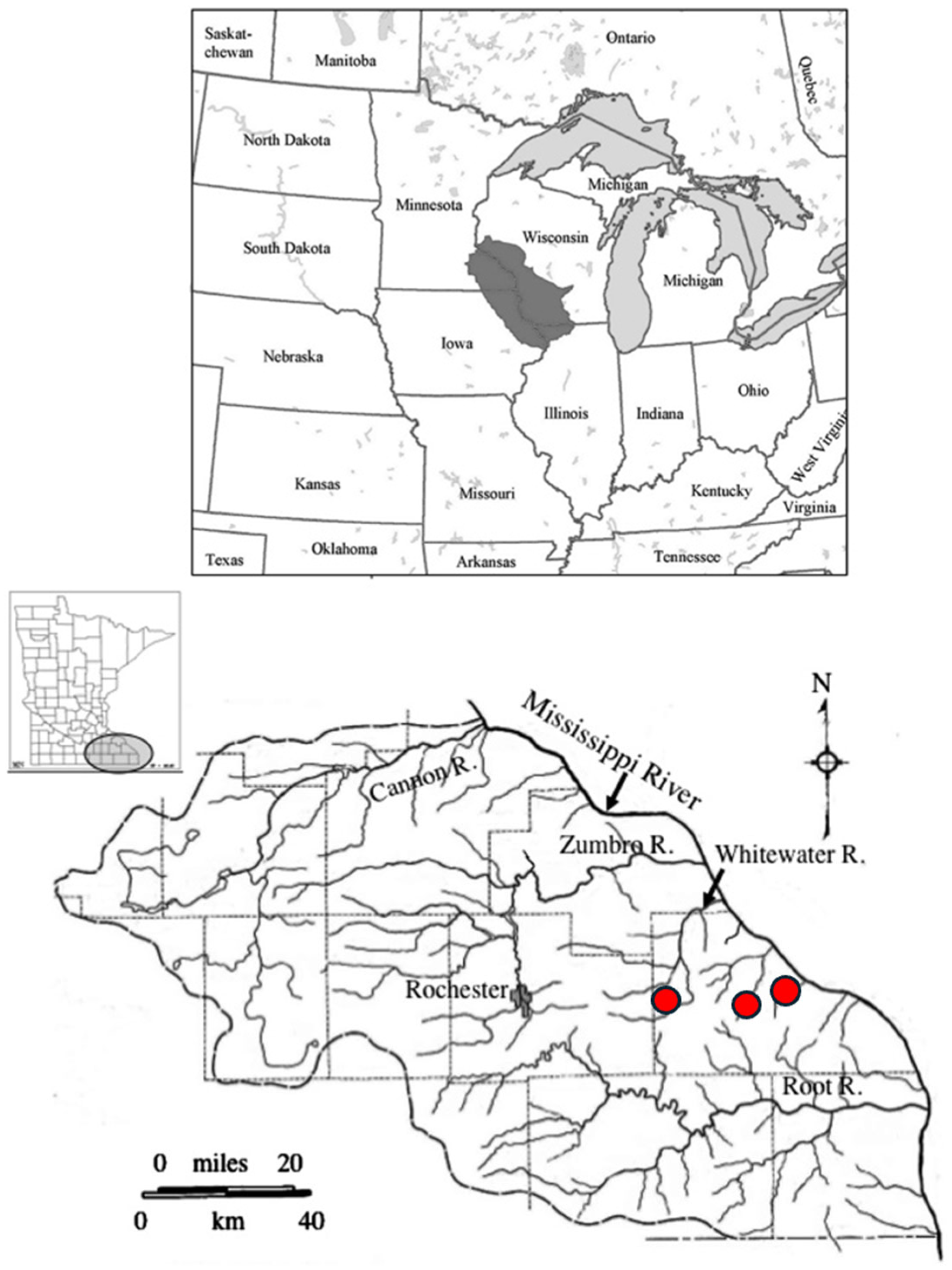 Fishes 09 00197 g001