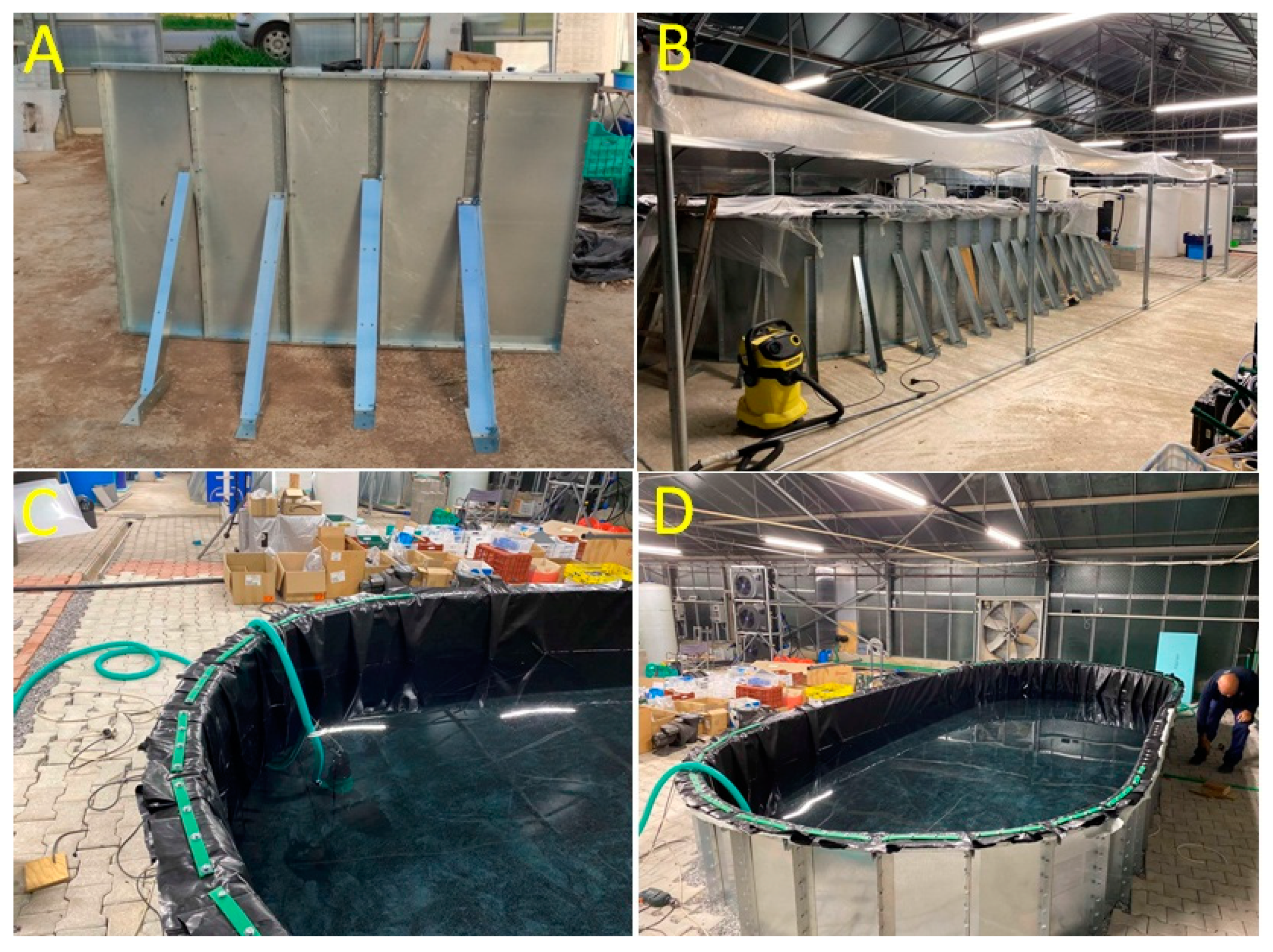 Fishes 09 00208 g002