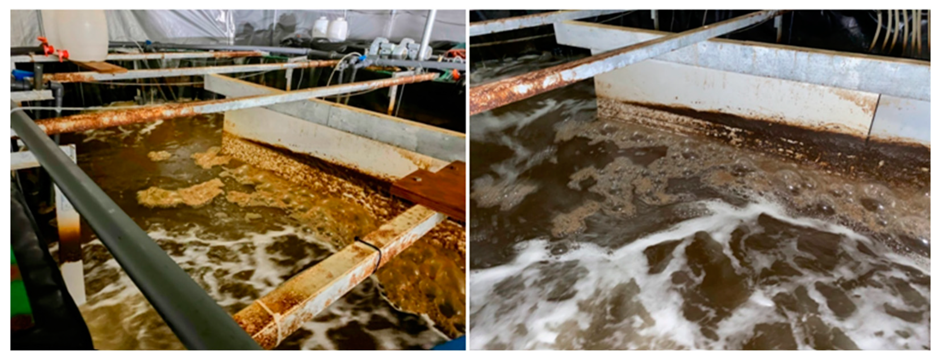 Fishes 09 00208 g004