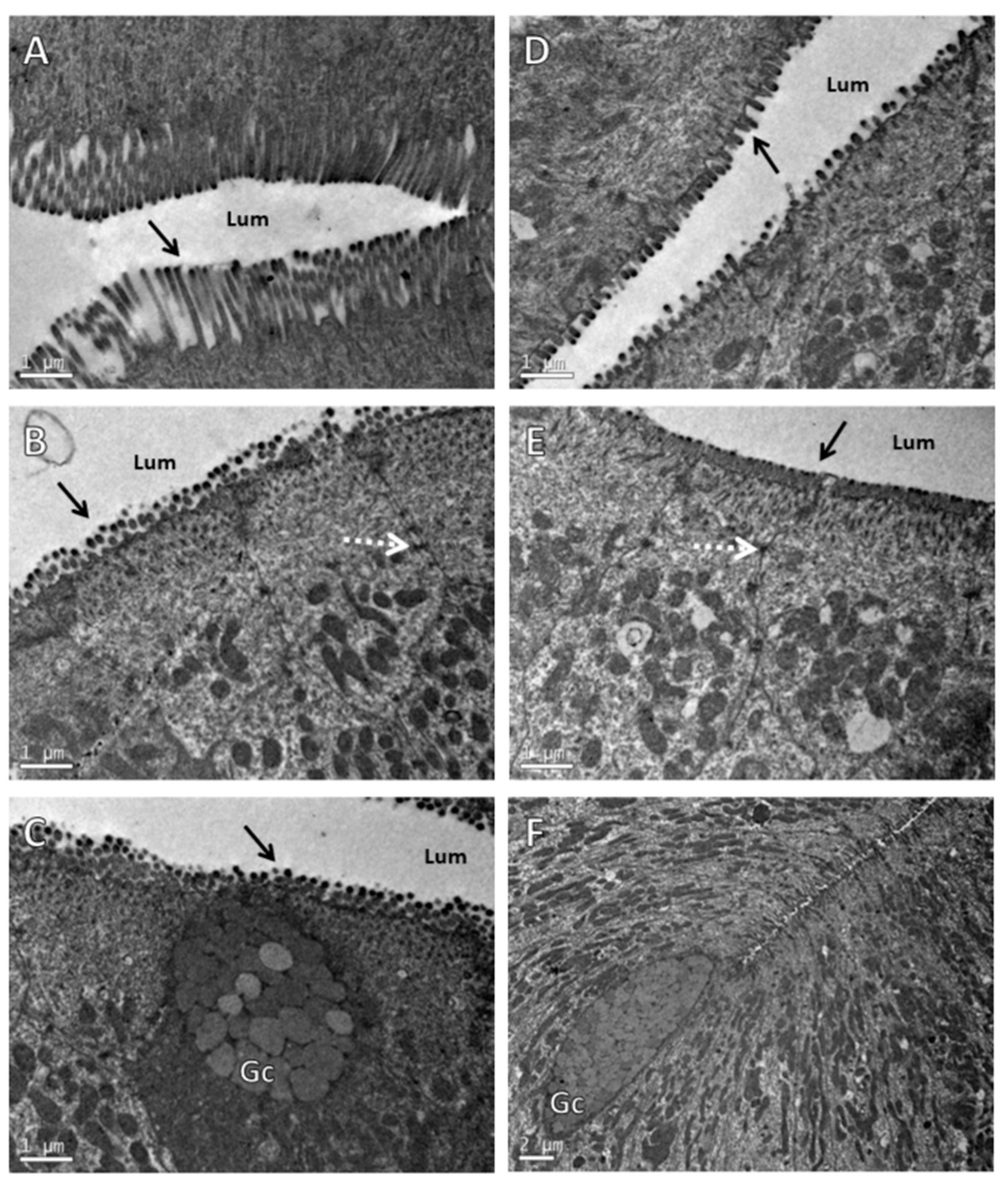 Fishes 09 00212 g002