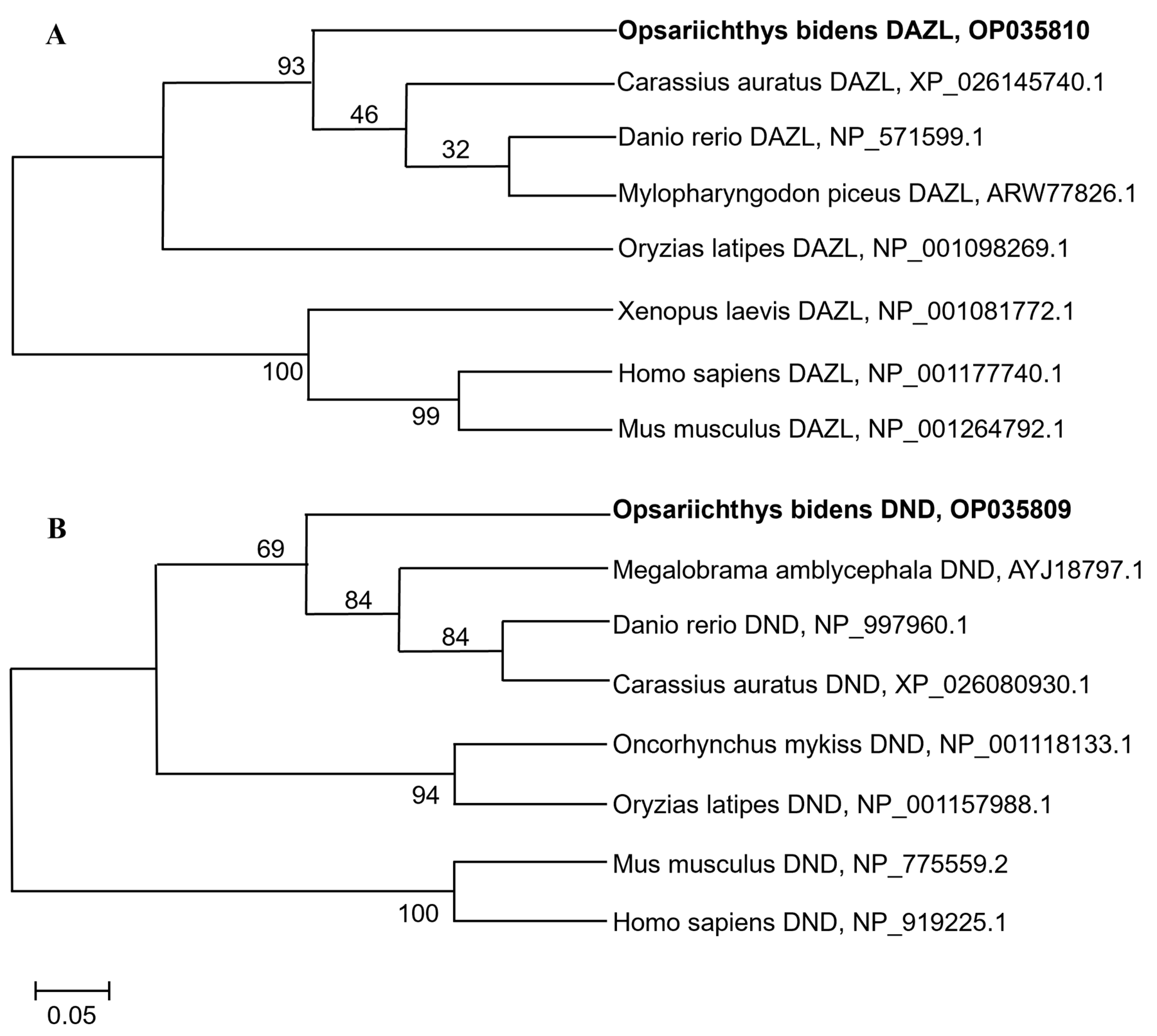 Fishes 09 00214 g001