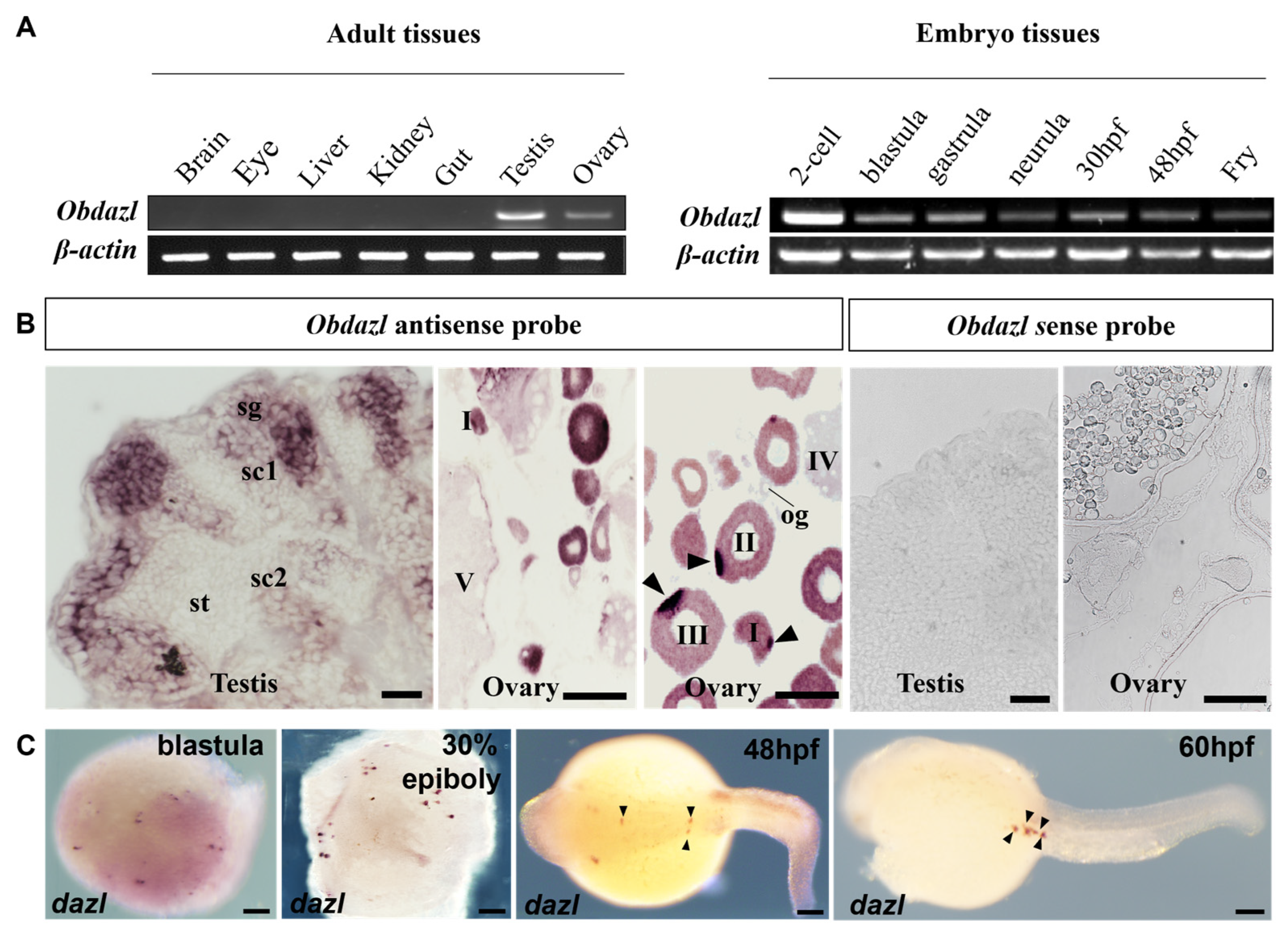 Fishes 09 00214 g002