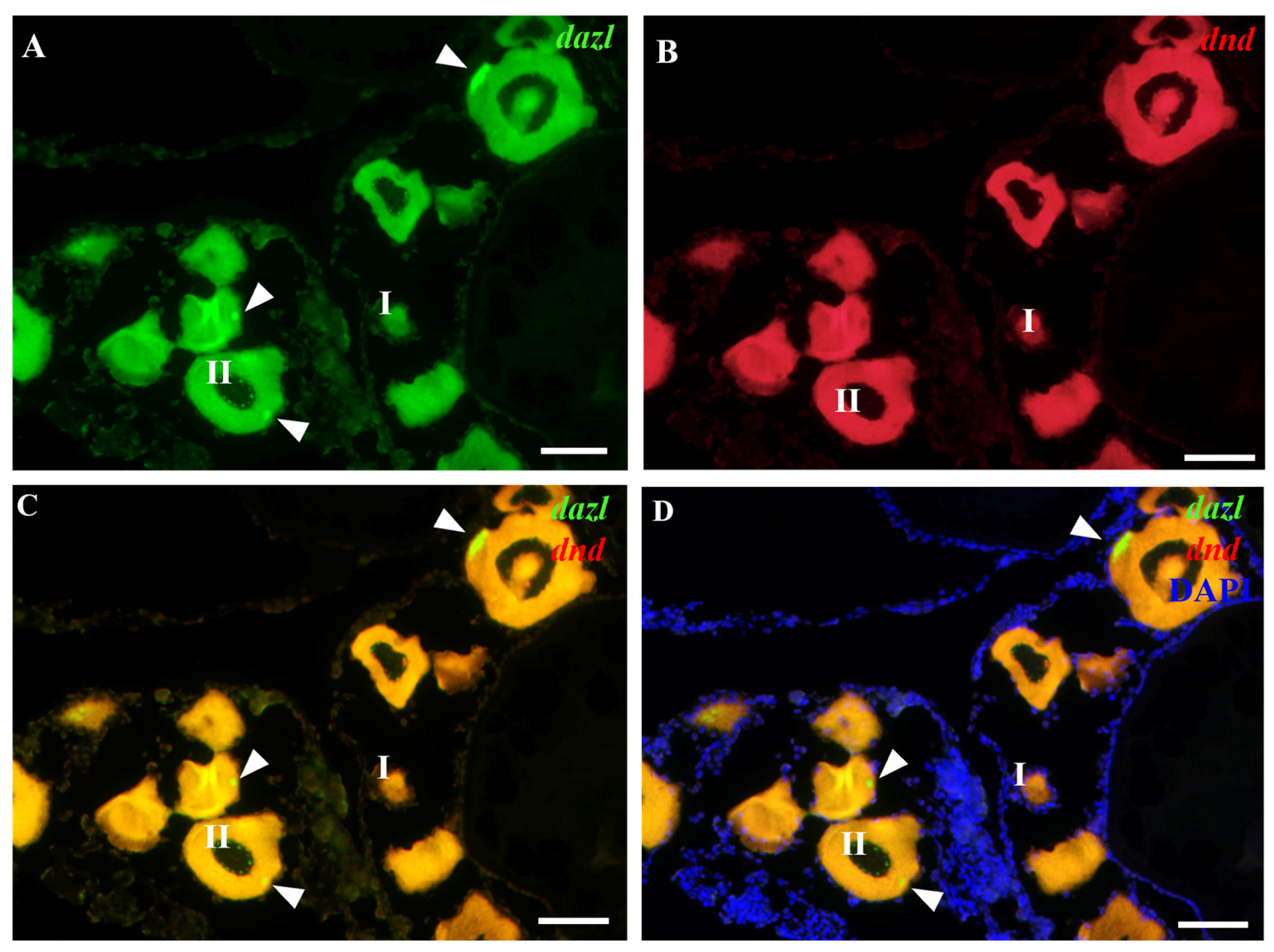 Fishes 09 00214 g004