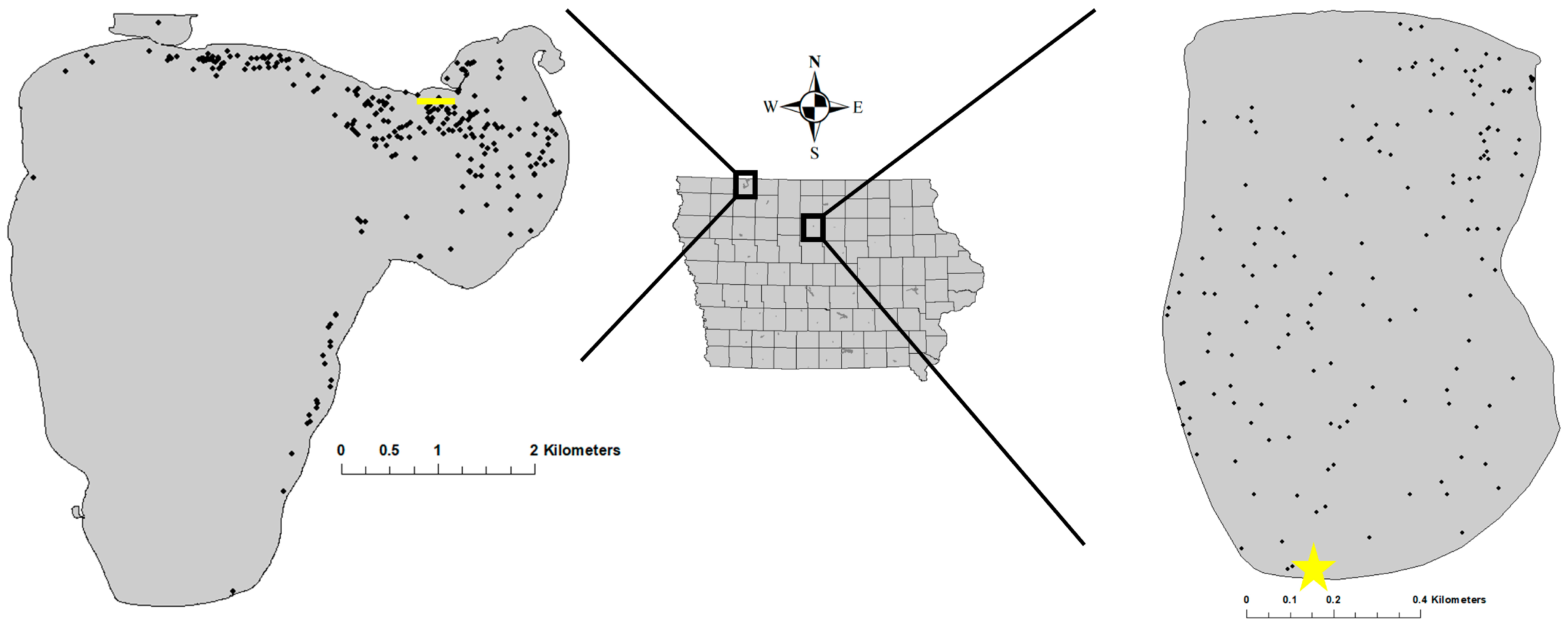 Fishes 09 00216 g001