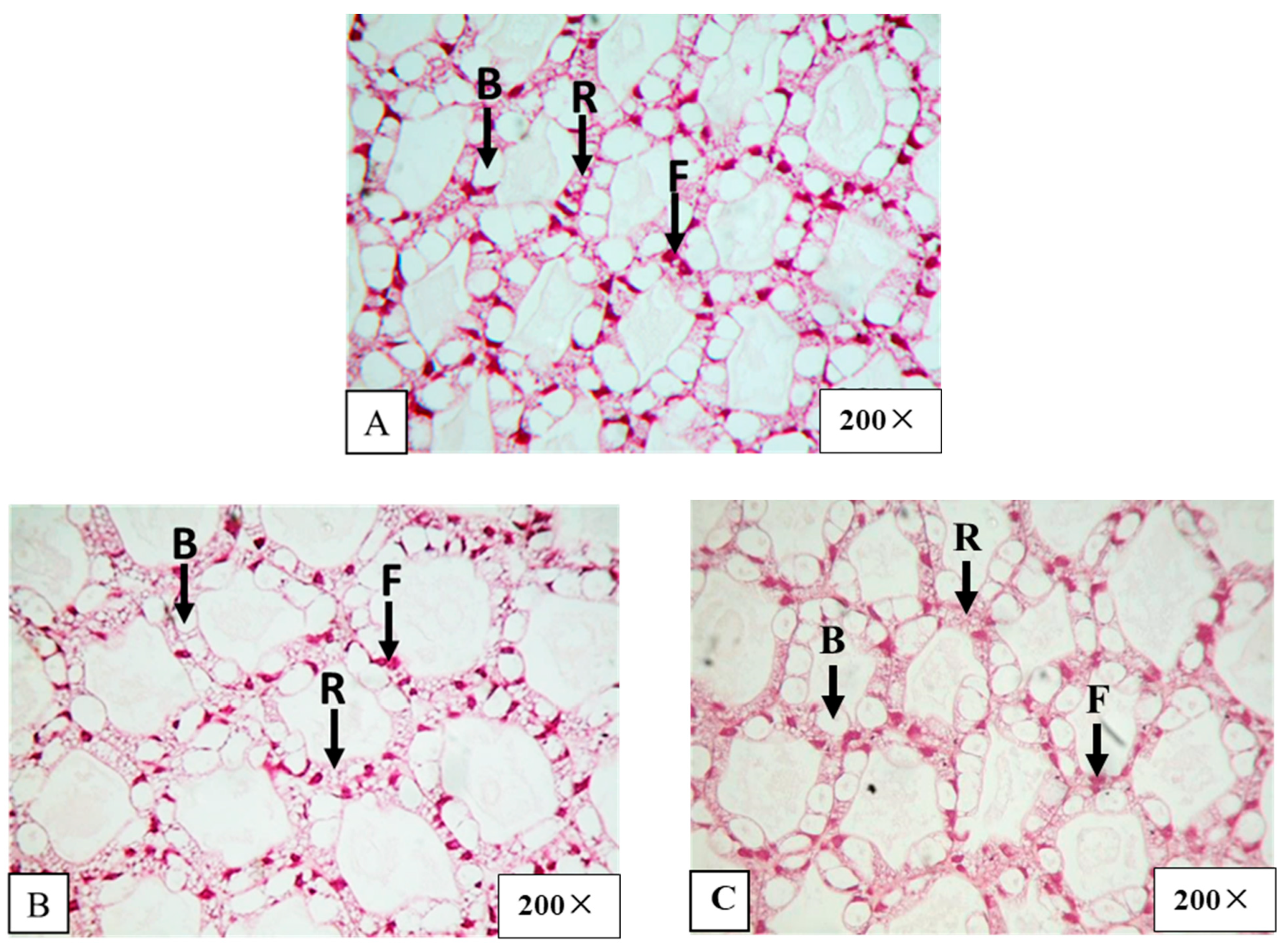 Fishes 09 00232 g006