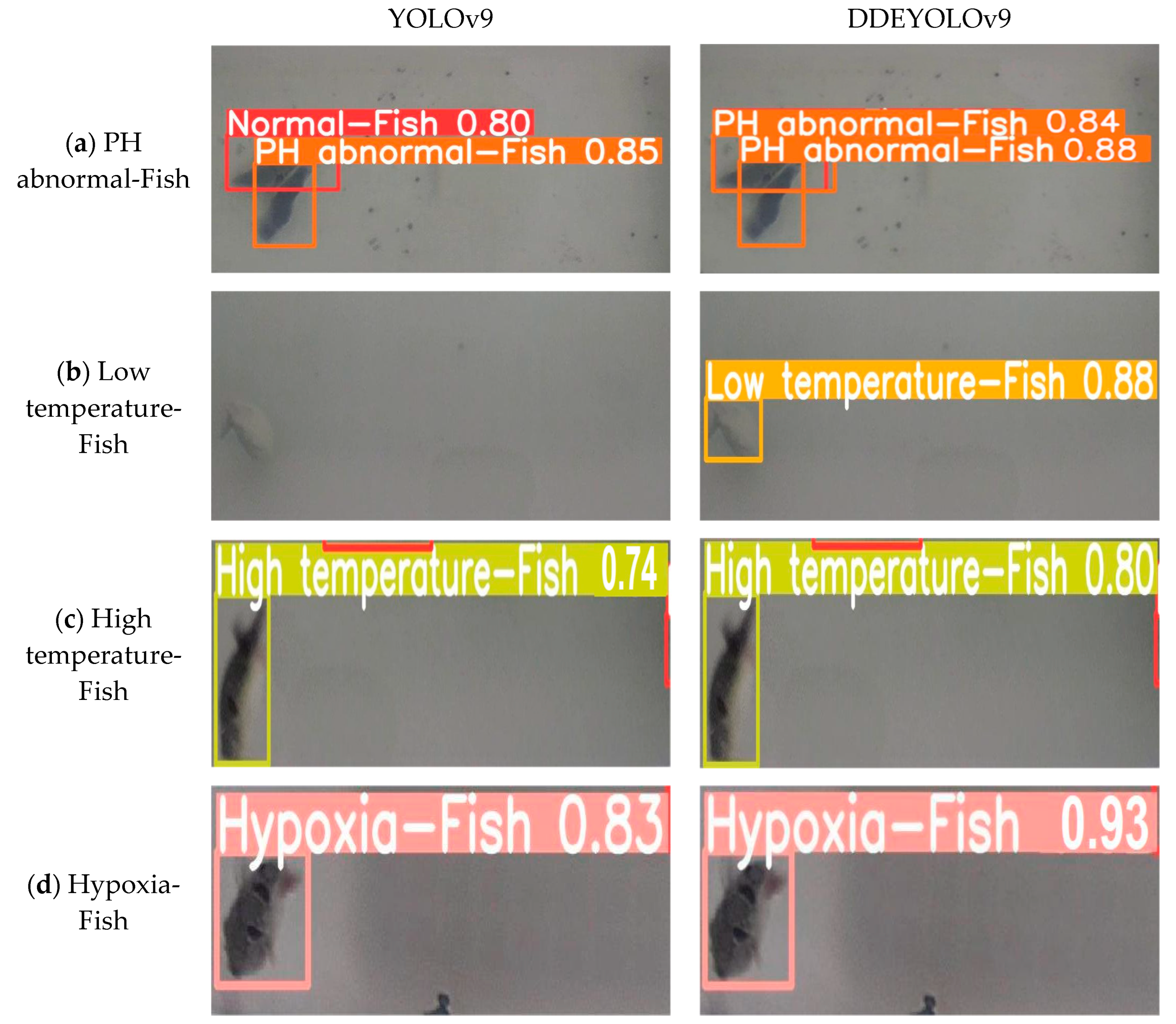 Fishes 09 00242 g012