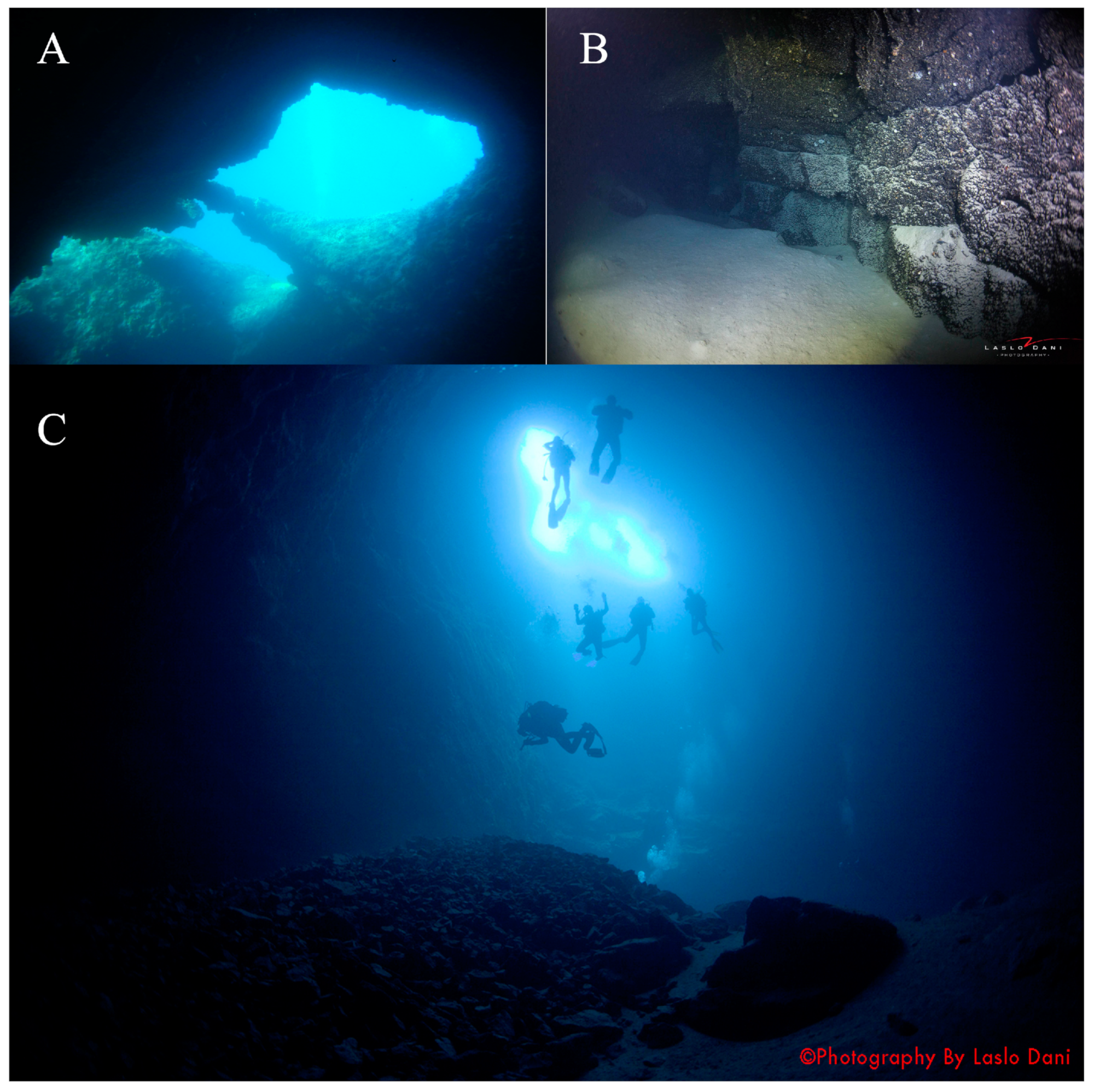 Fishes 09 00243 g002