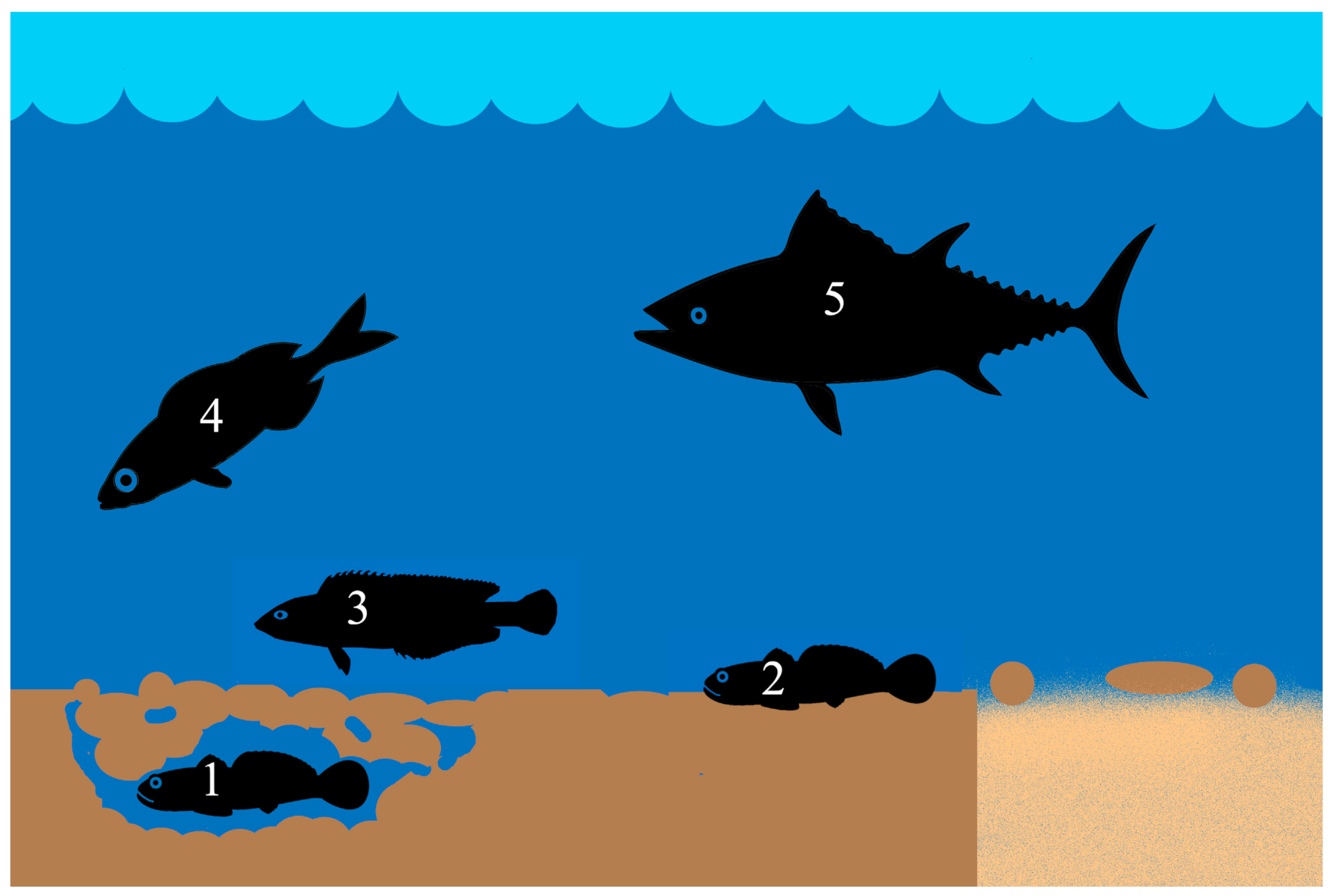 Fishes 09 00243 g011