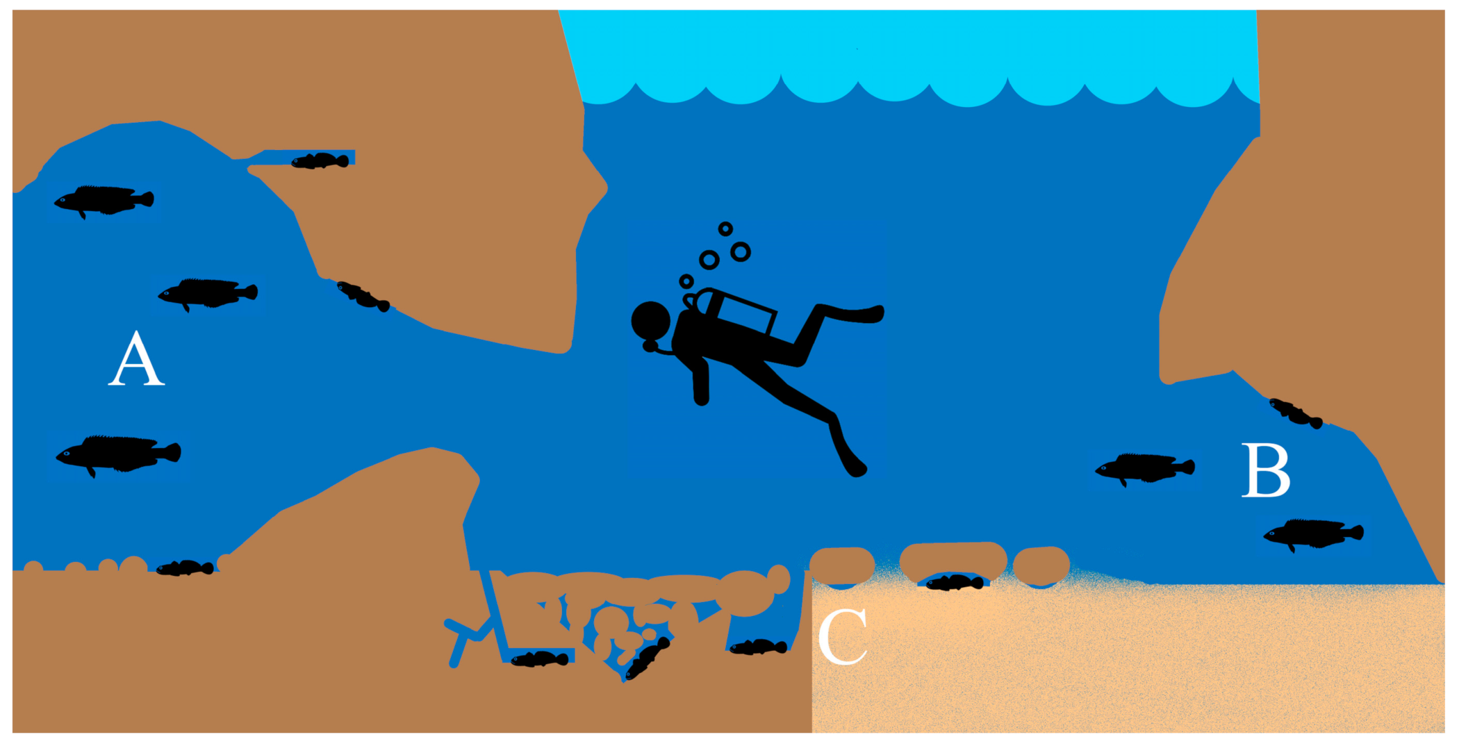 Fishes 09 00243 g012