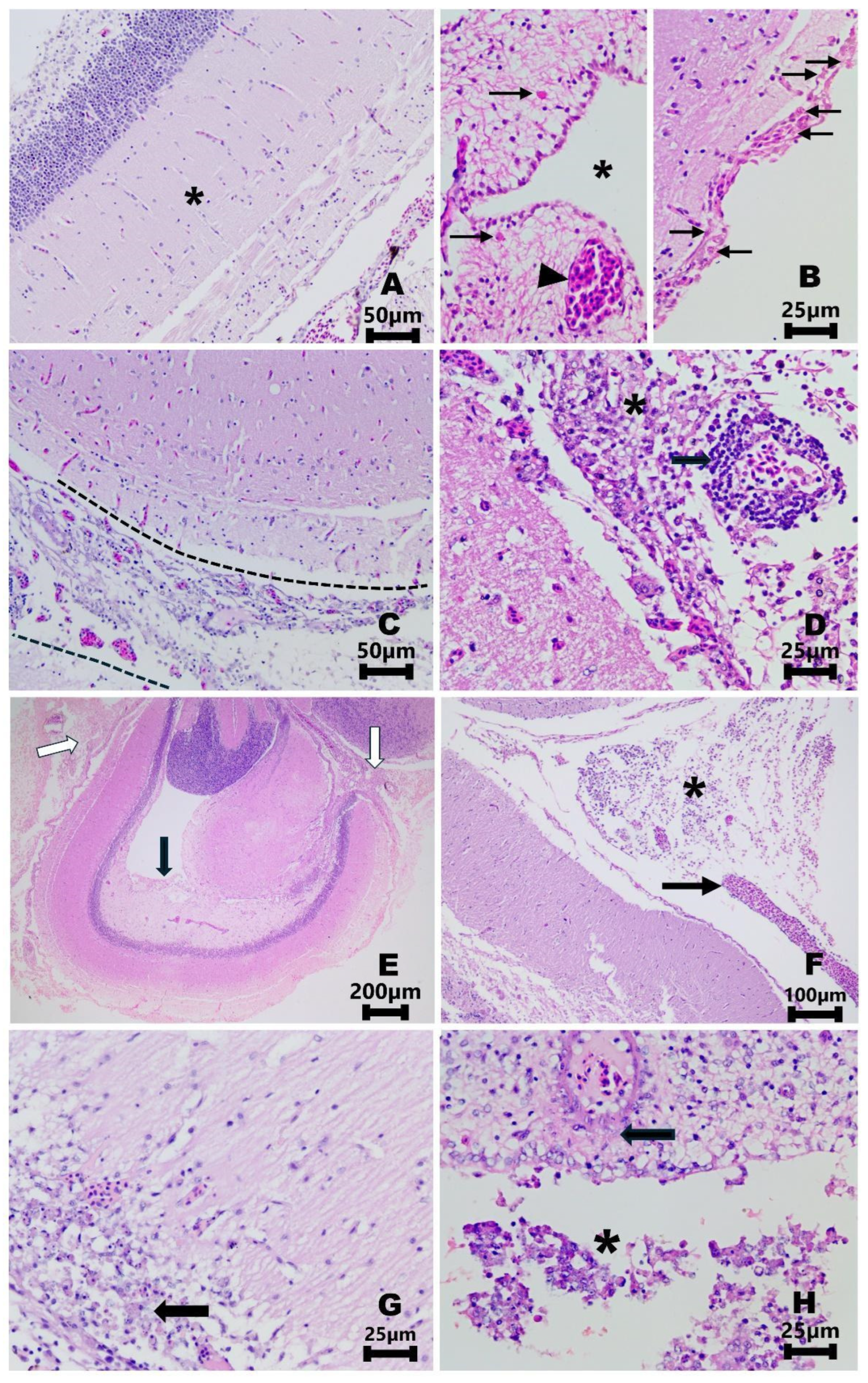 Fishes 09 00279 g004 Fishes 09 00279 g004