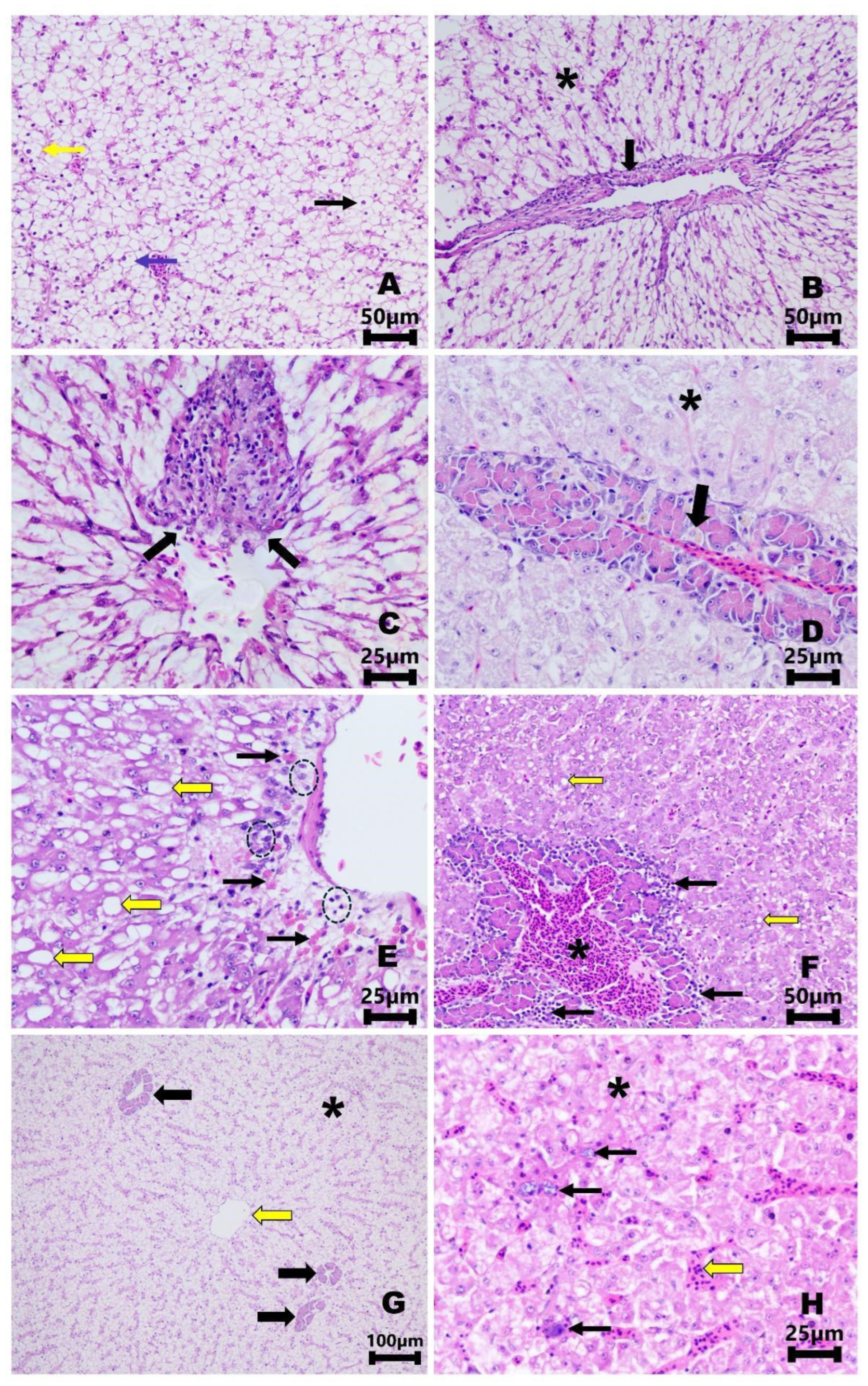 Fishes 09 00279 g008 Fishes 09 00279 g008