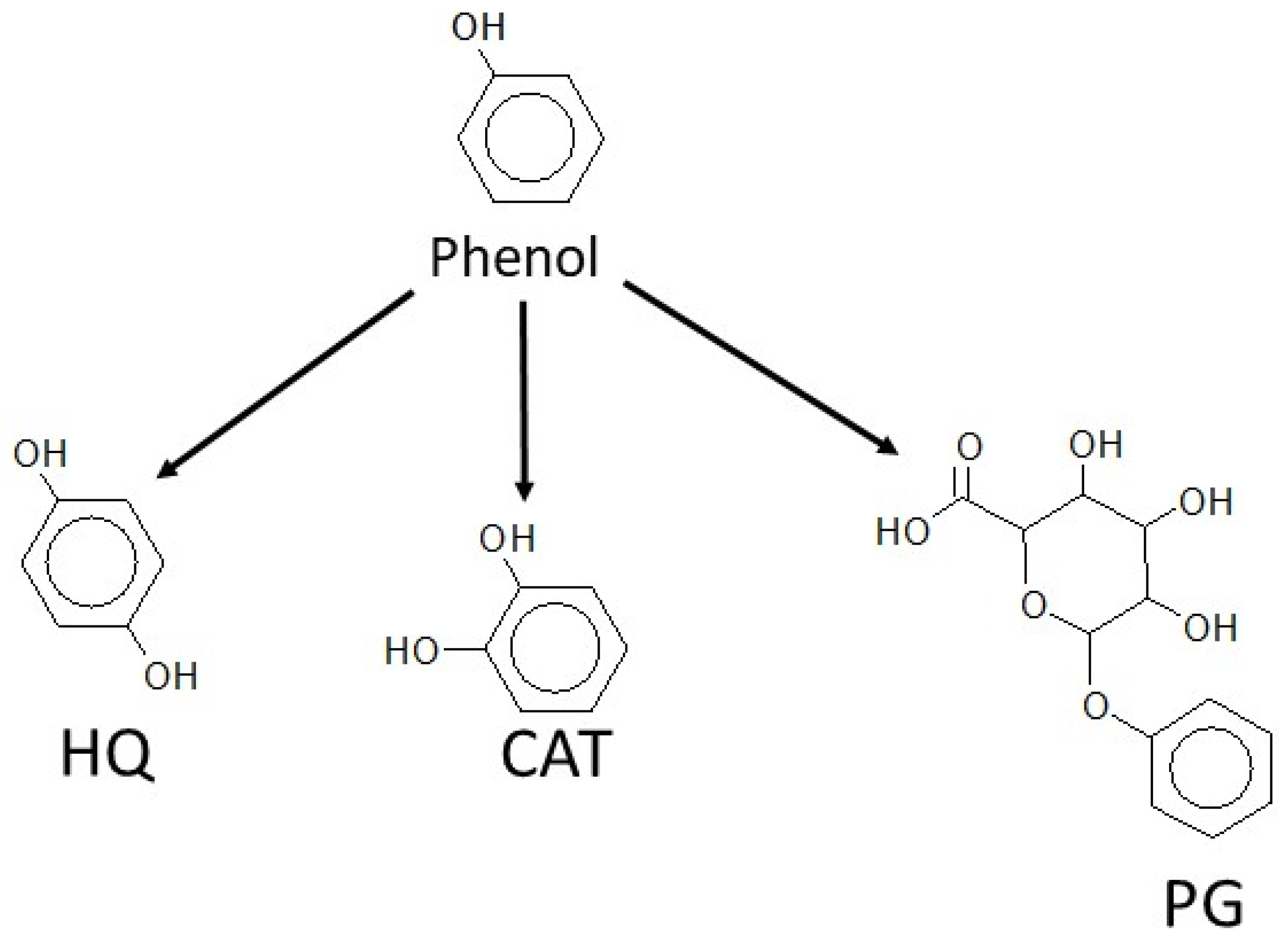 Fishes 09 00284 g004