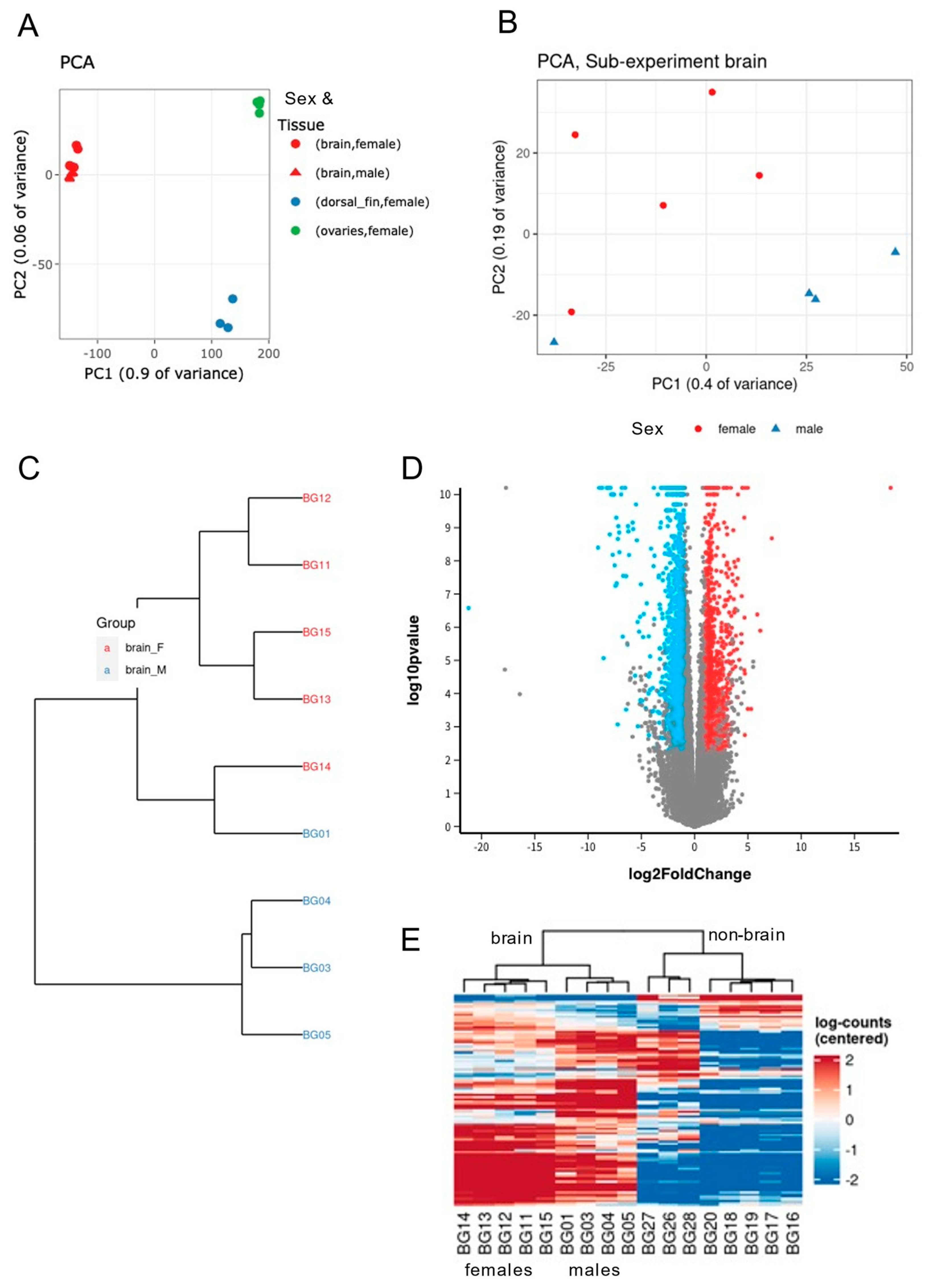 Fishes 09 00287 g002