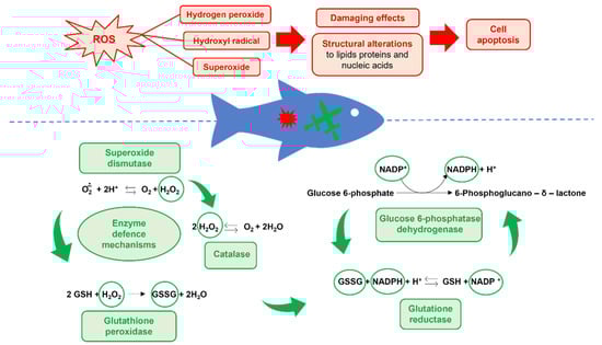 Fishes 09 00289 g003