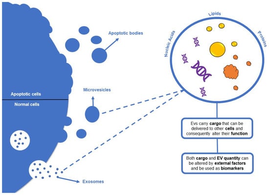 Fishes 09 00289 g004