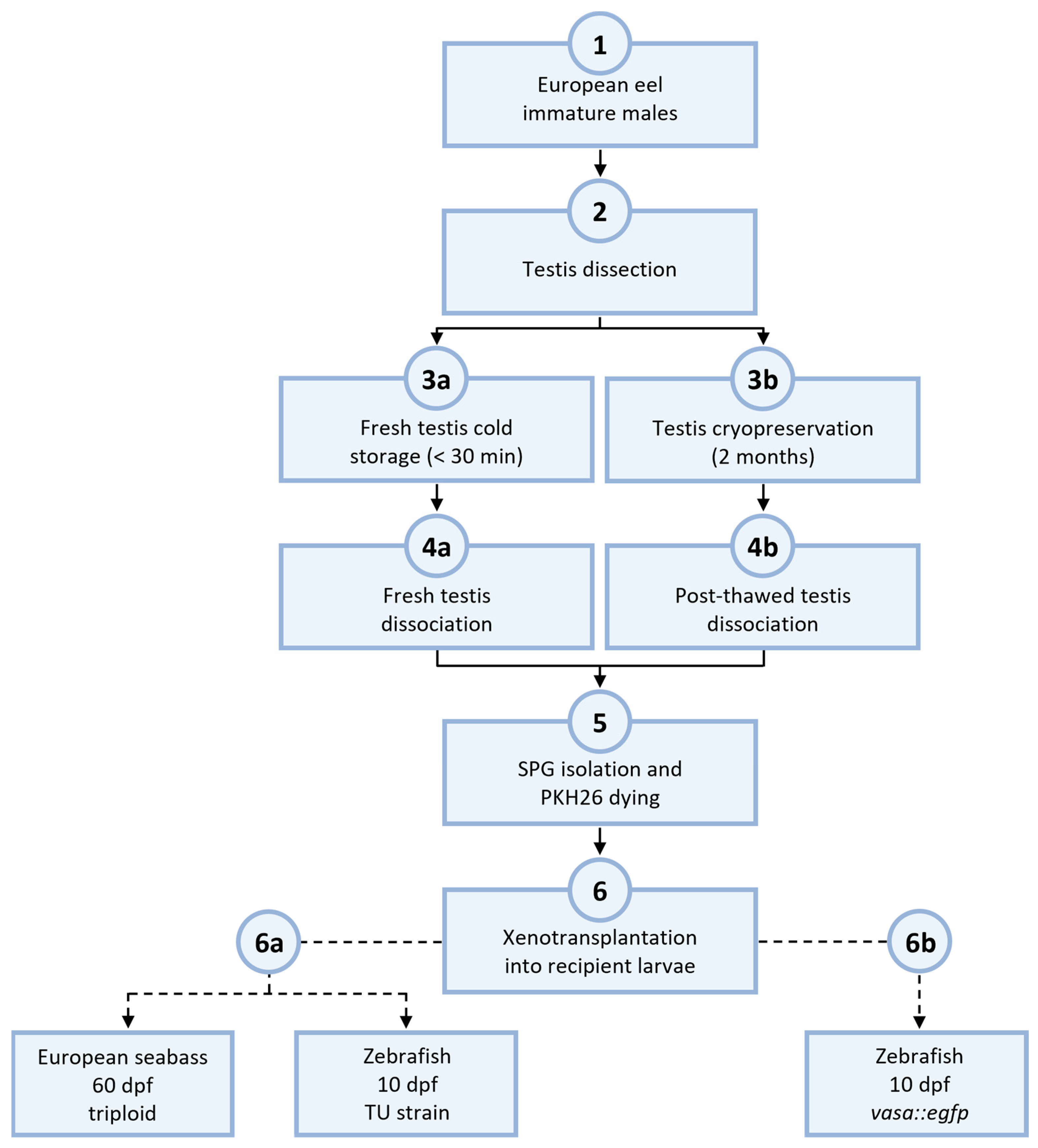 Fishes 09 00290 g001