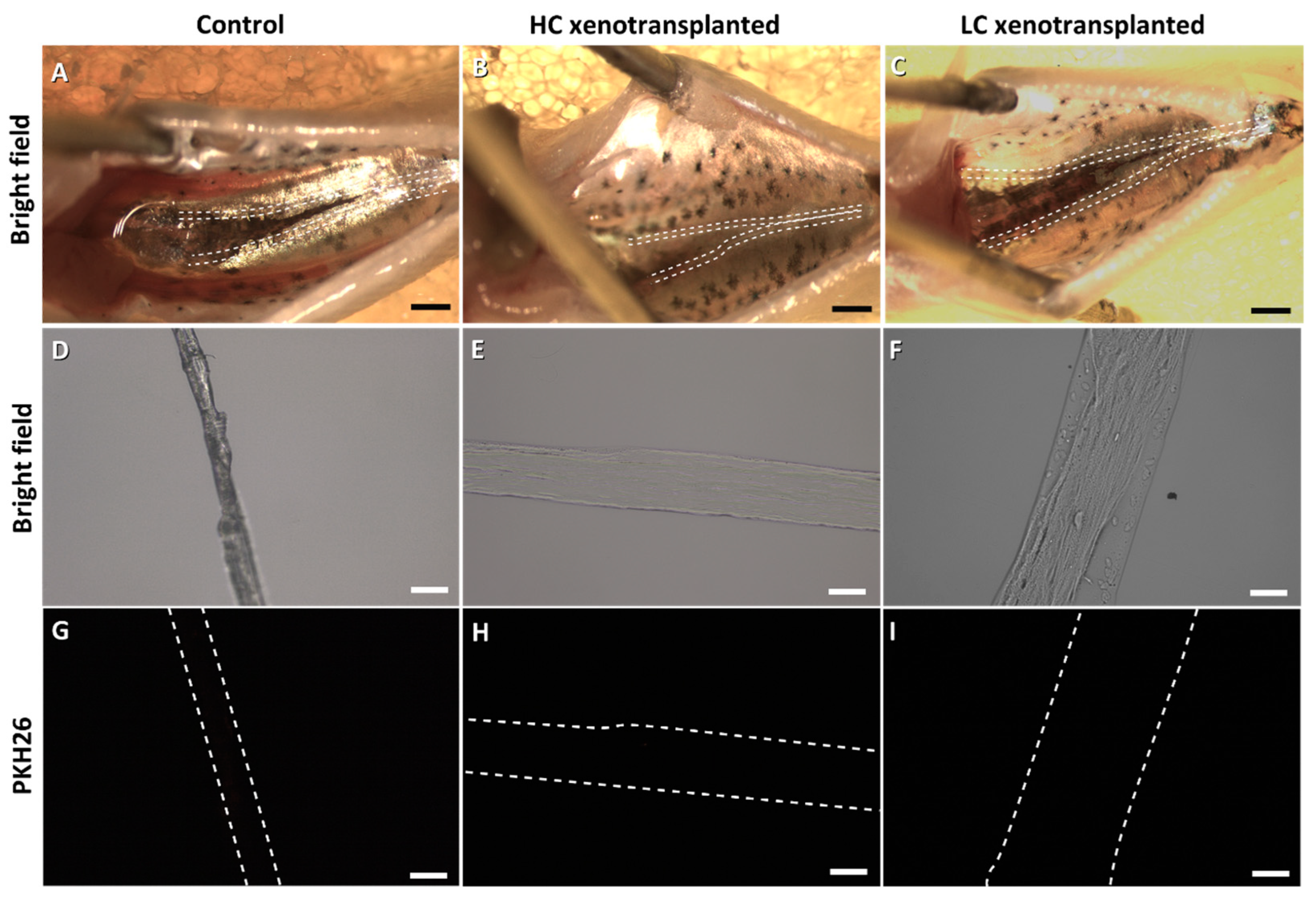 Fishes 09 00290 g004