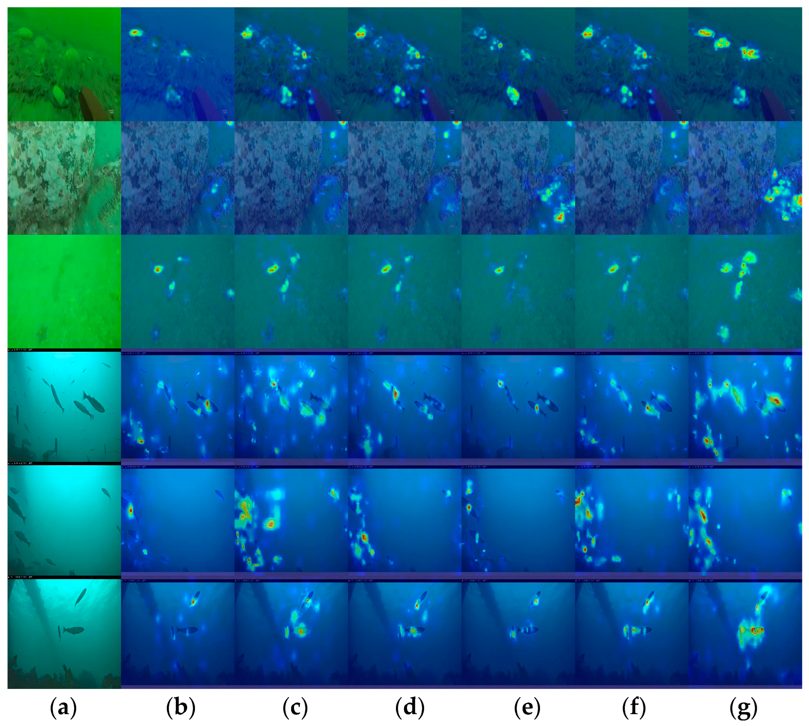 Fishes 09 00294 g008