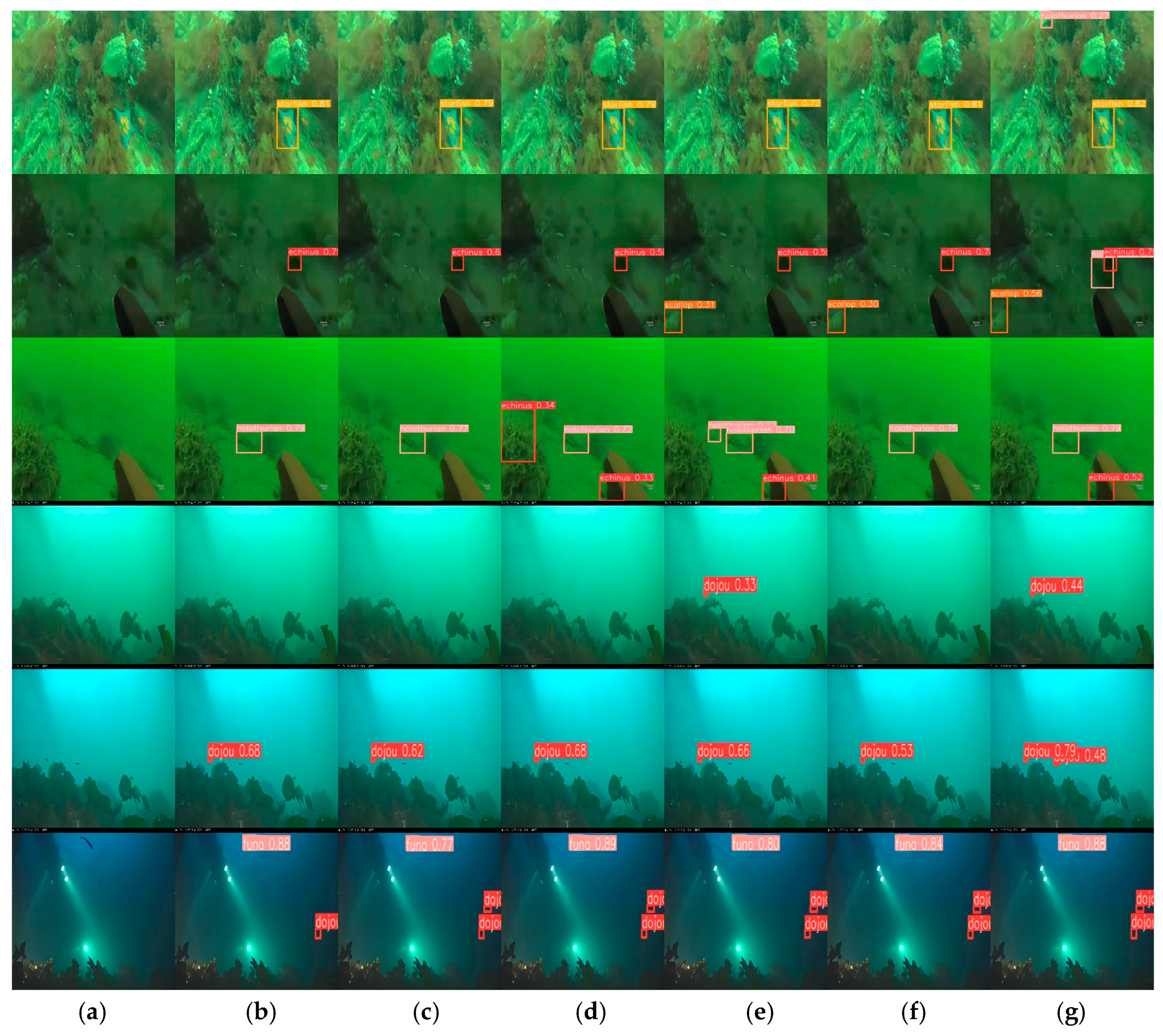 Fishes 09 00294 g009