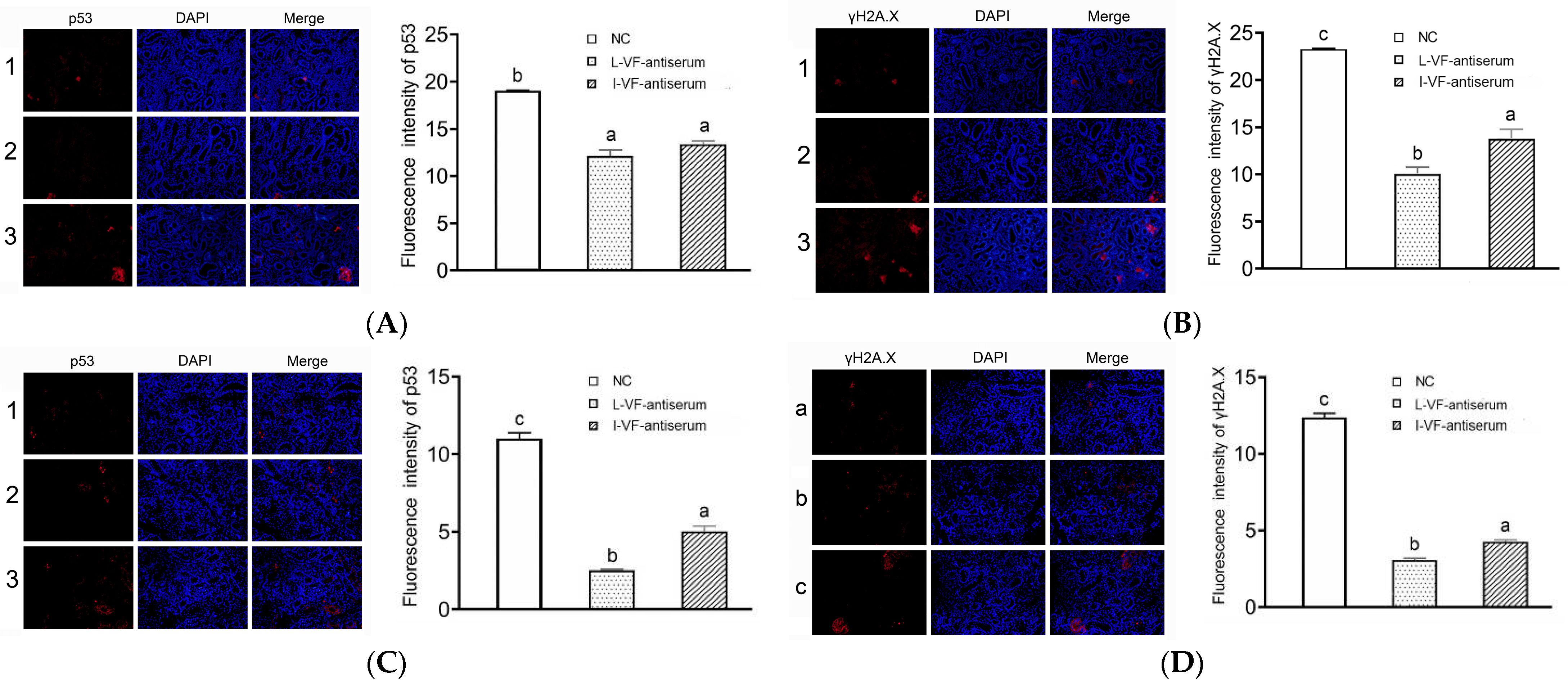 Fishes 09 00302 g005