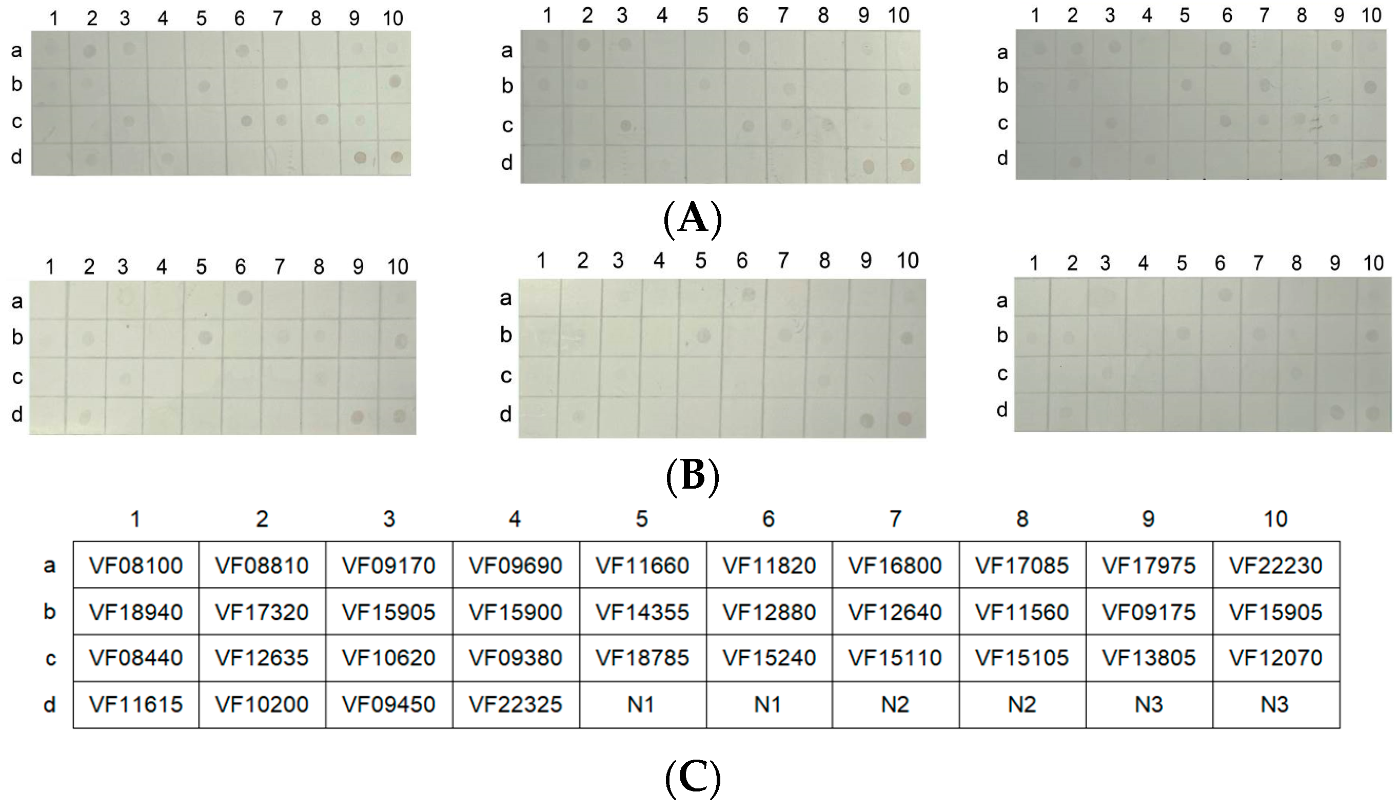 Fishes 09 00302 g008a