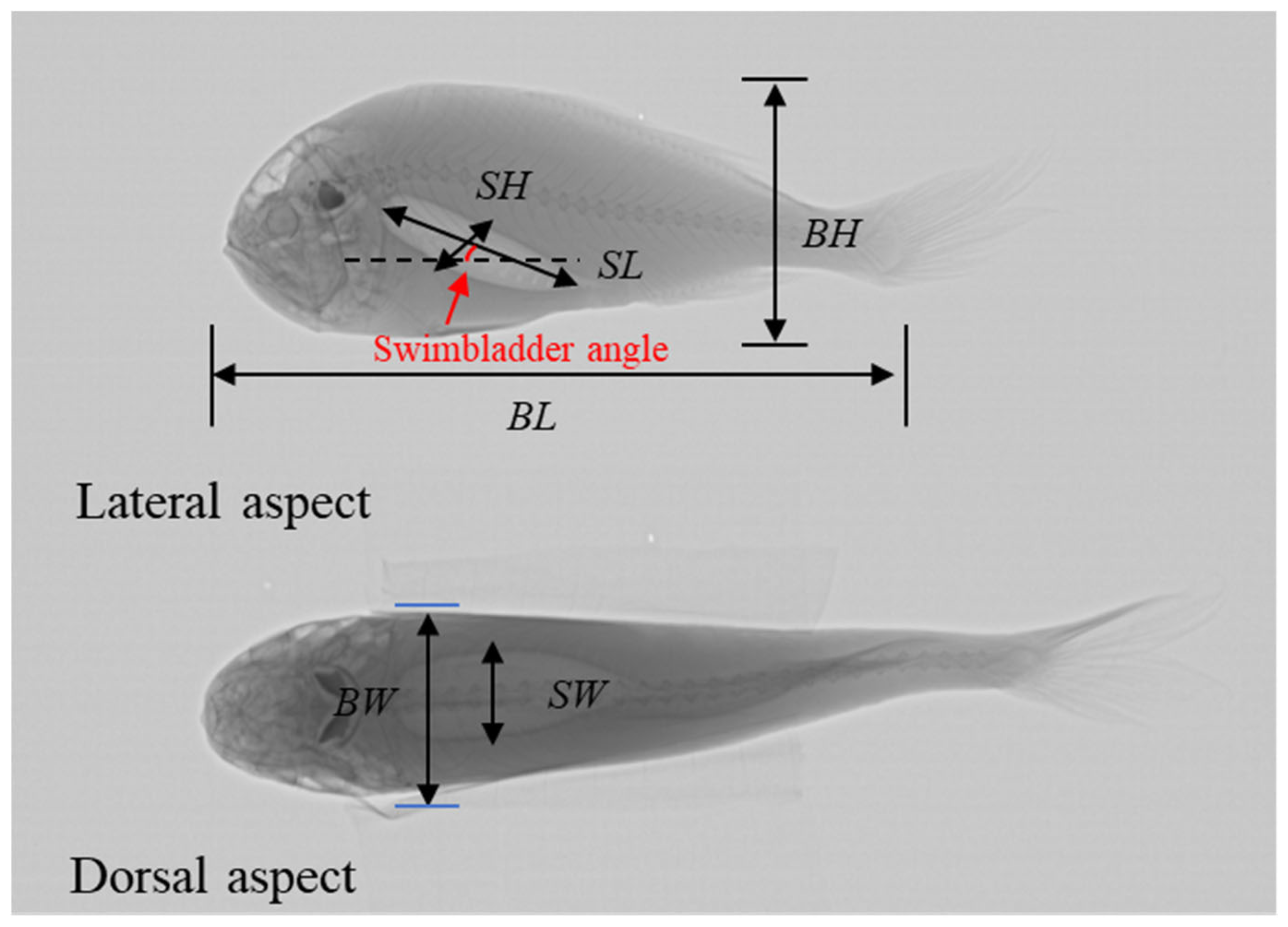 Fishes 09 00304 g001 Fishes 09 00304 g001