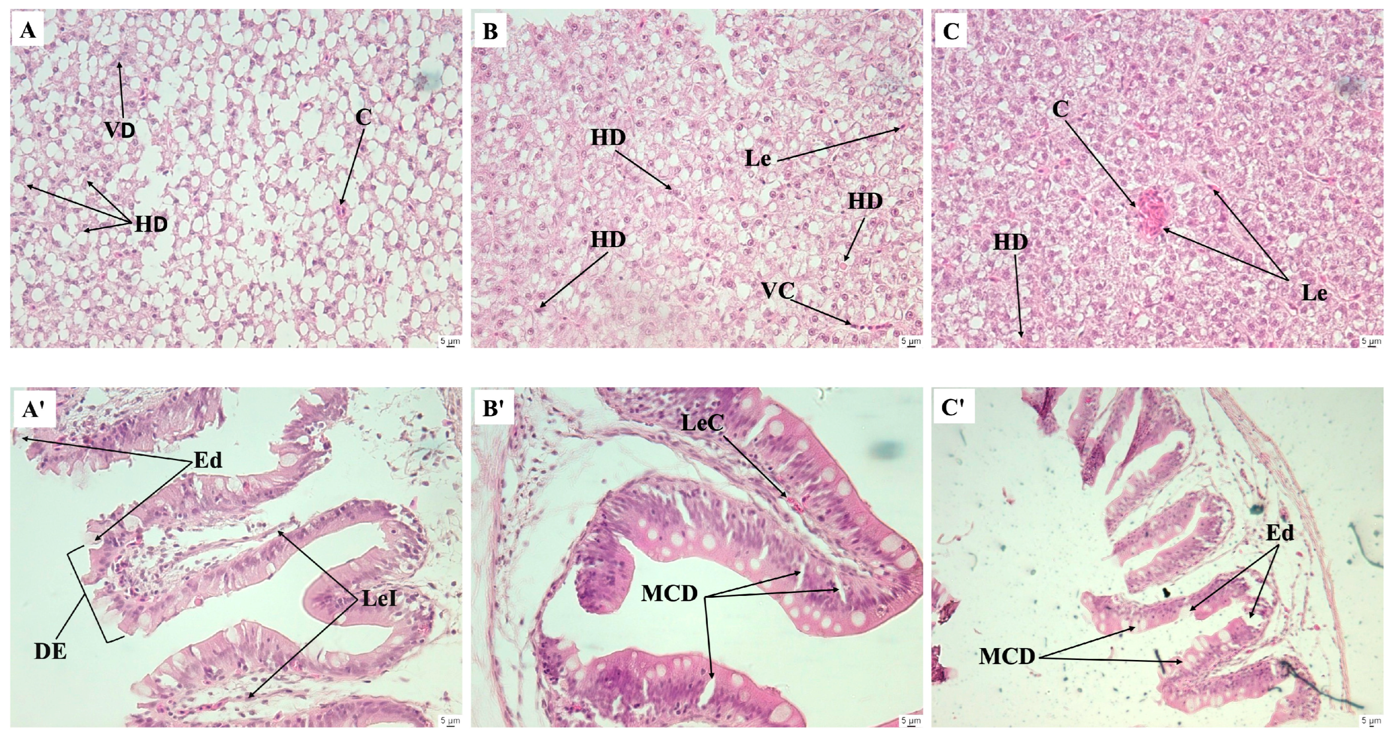 Fishes 09 00390 g005
