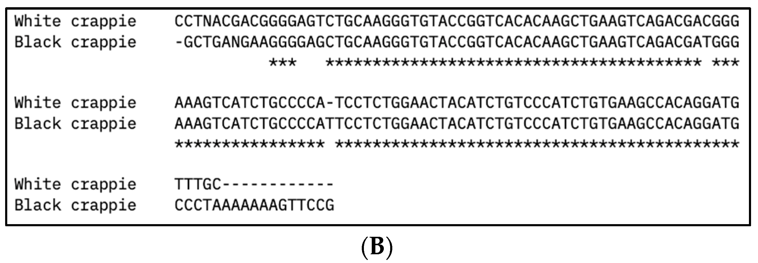 Fishes 09 00394 g002b