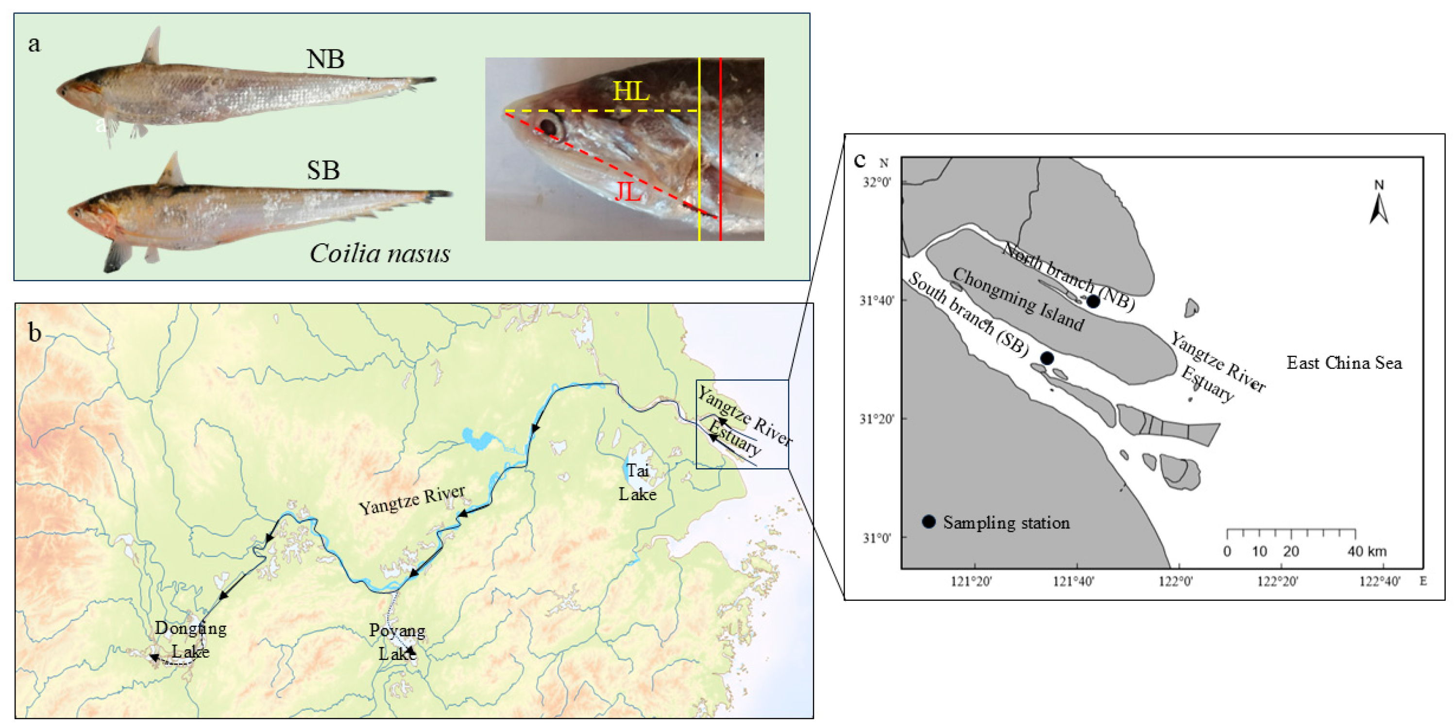 Fishes 09 00402 g001