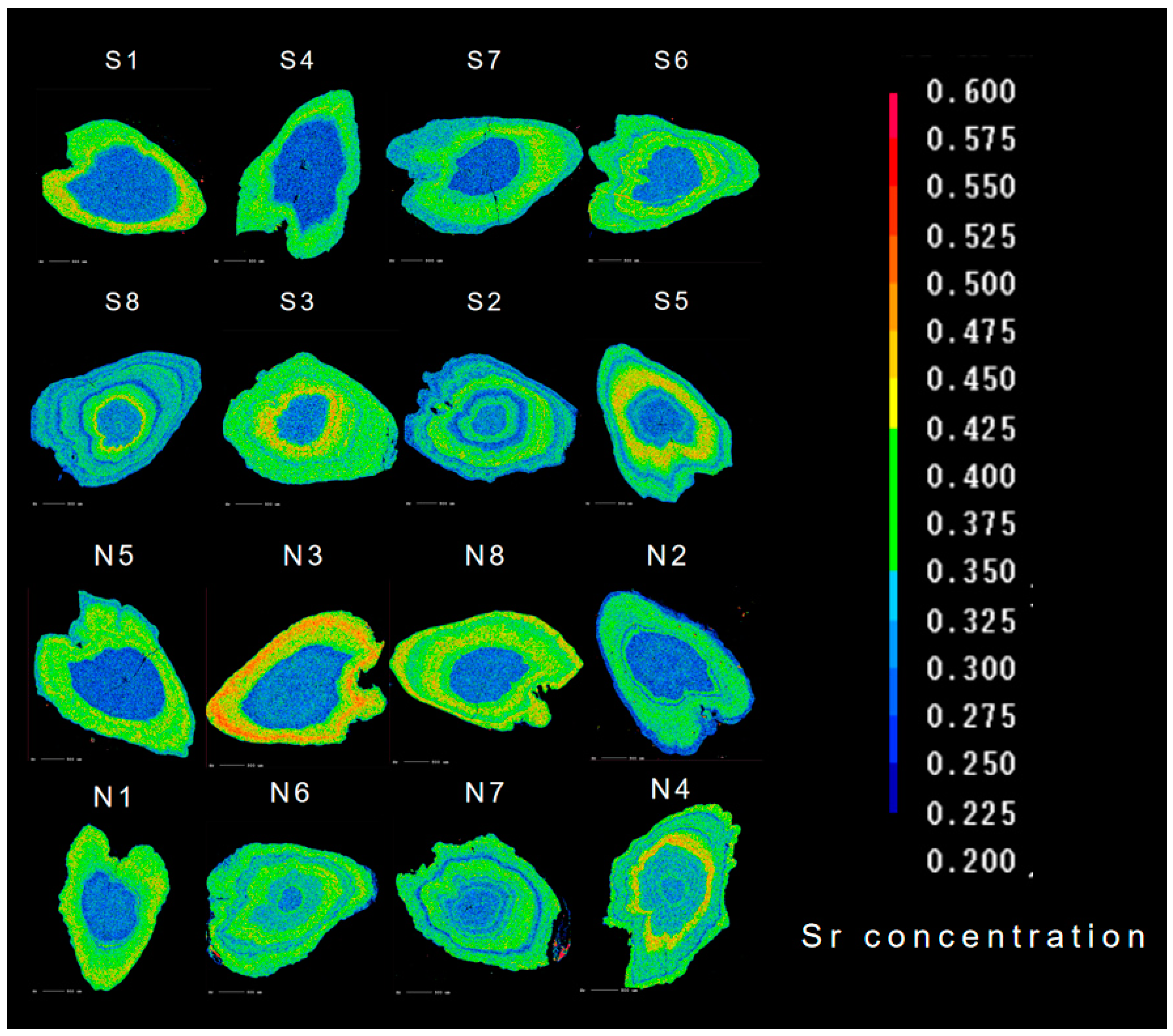 Fishes 09 00402 g003