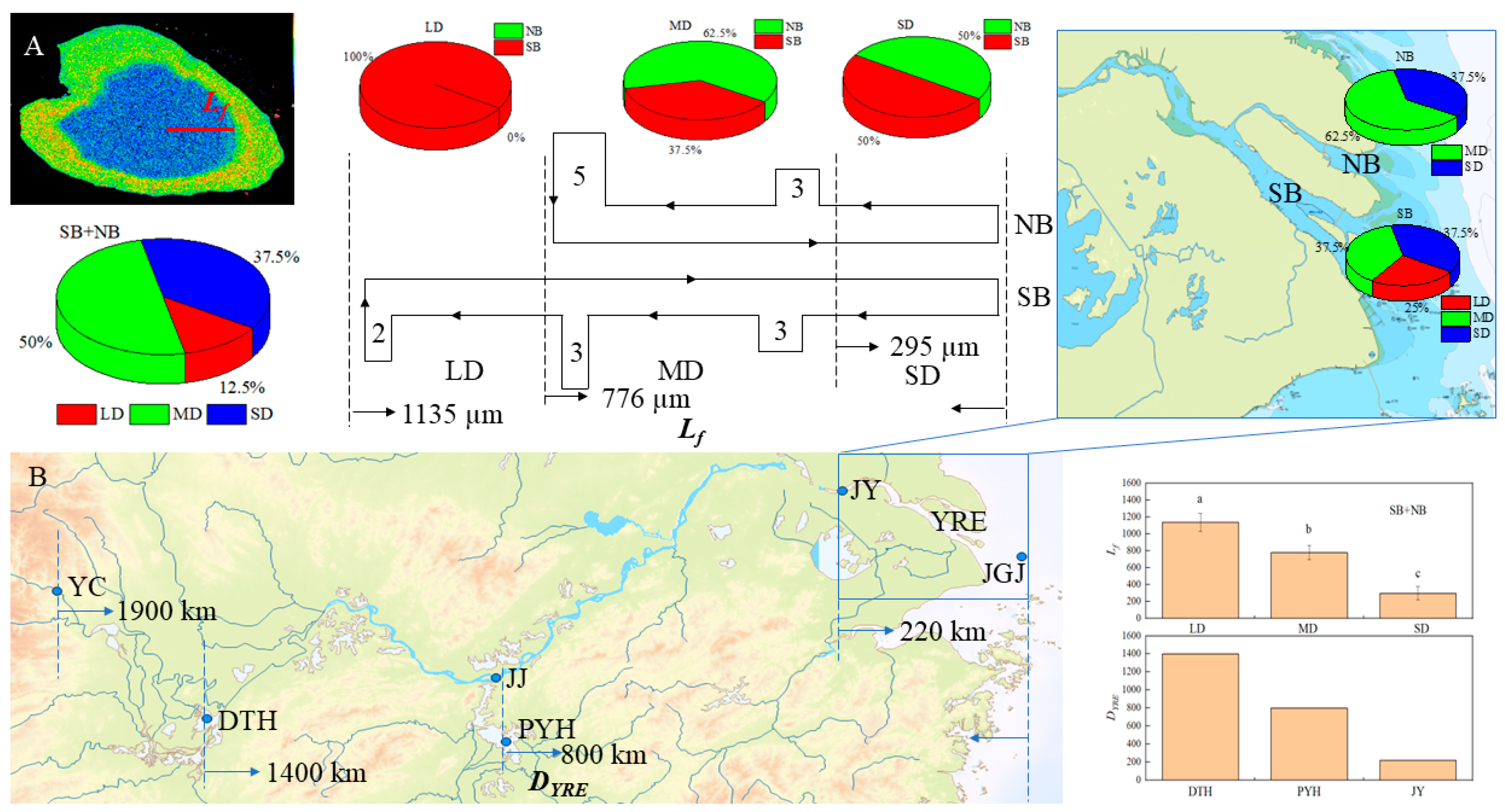 Fishes 09 00402 g006