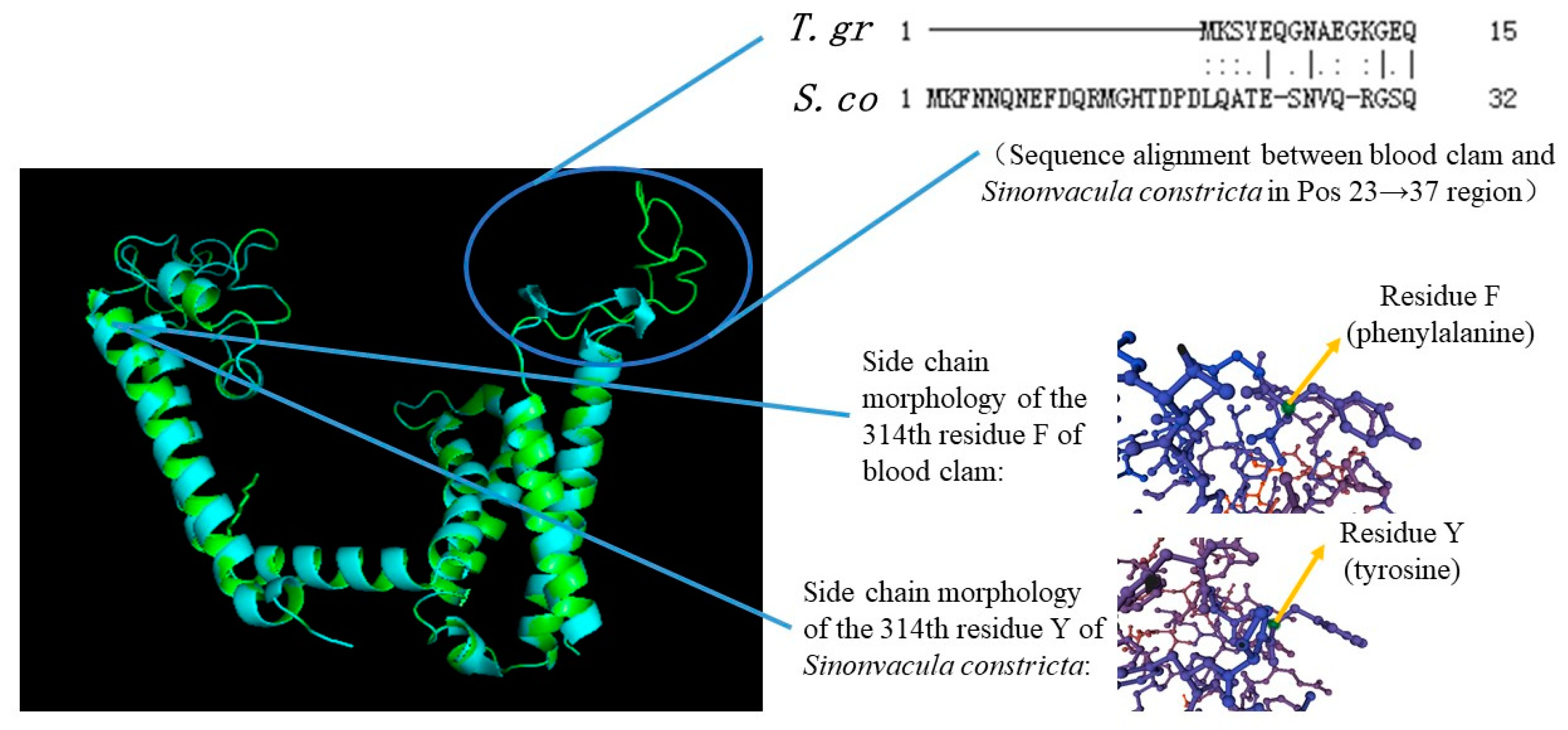 Fishes 09 00409 g001 Fishes 09 00409 g001