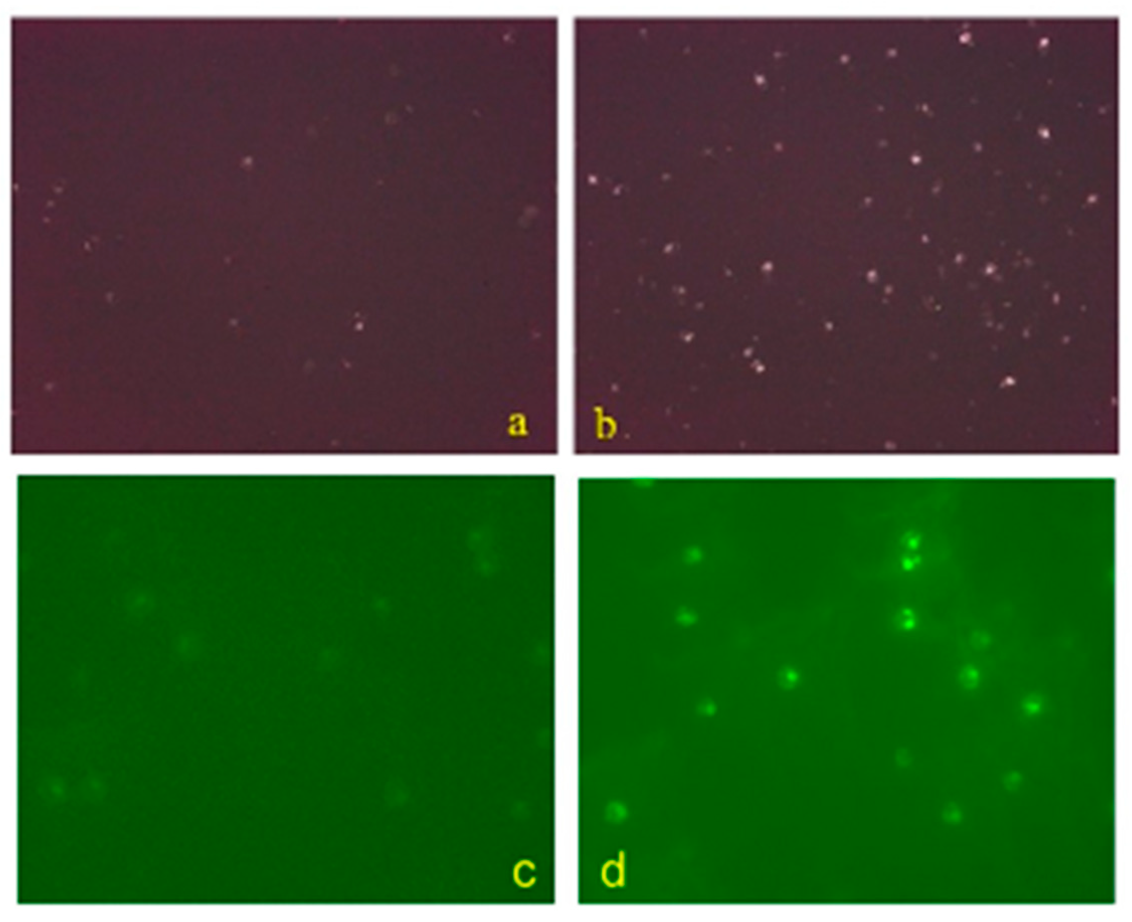 Fishes 09 00409 g005 Fishes 09 00409 g005