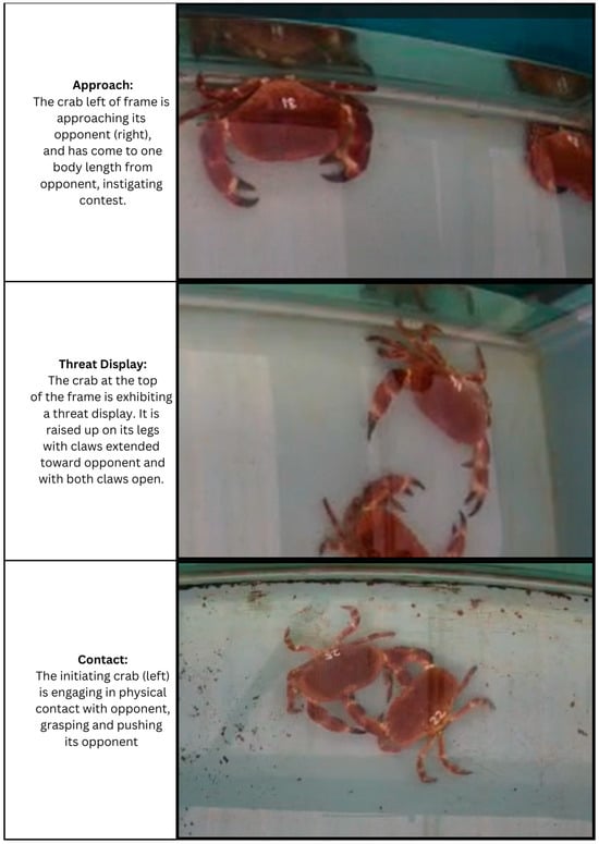 Fishes 09 00455 g0a2