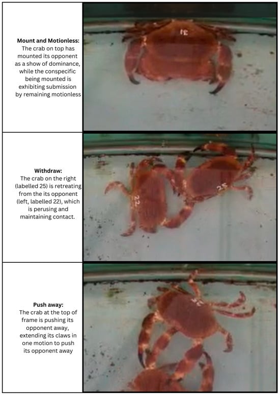 Fishes 09 00455 g0a3