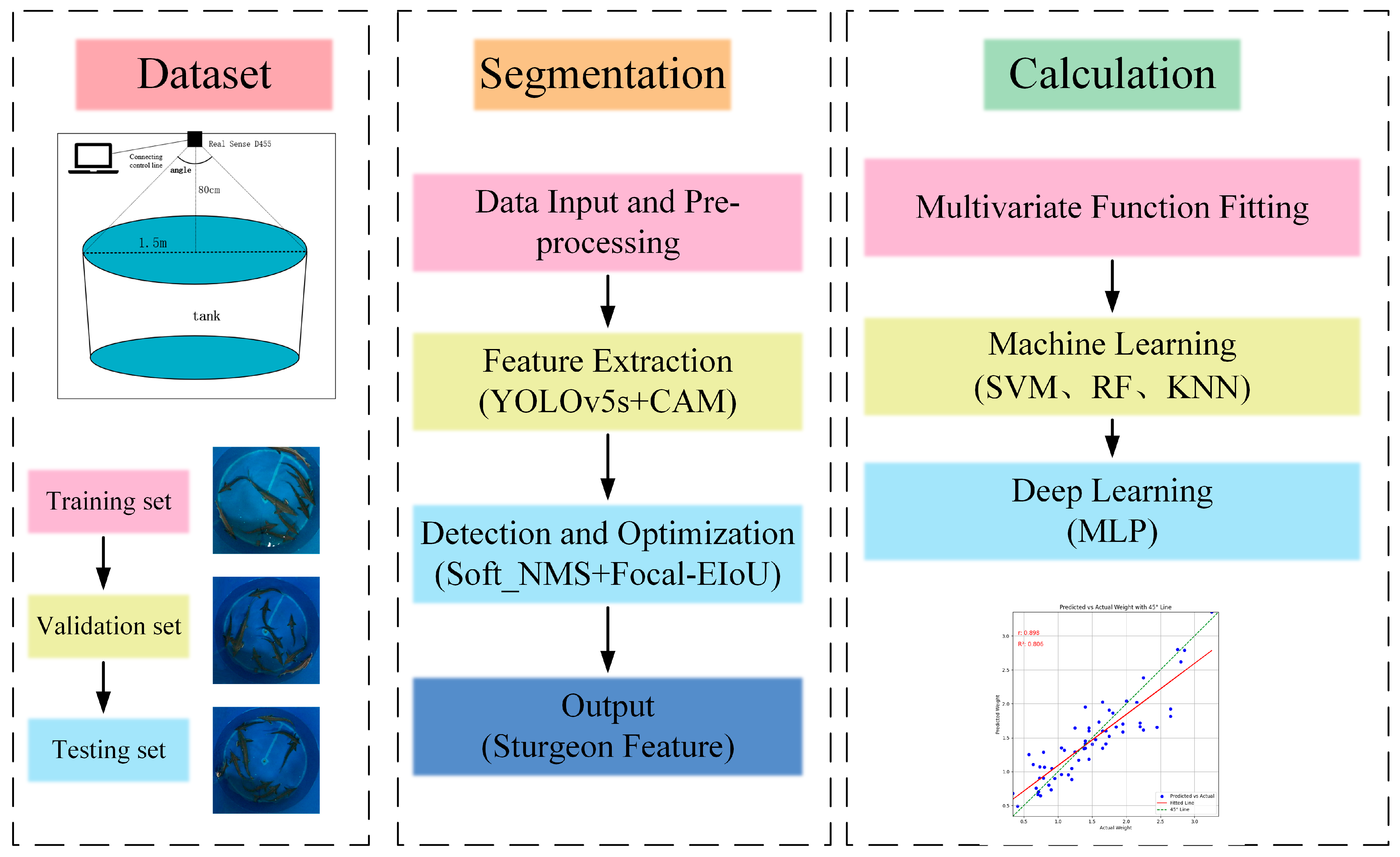 Fishes 09 00458 g001