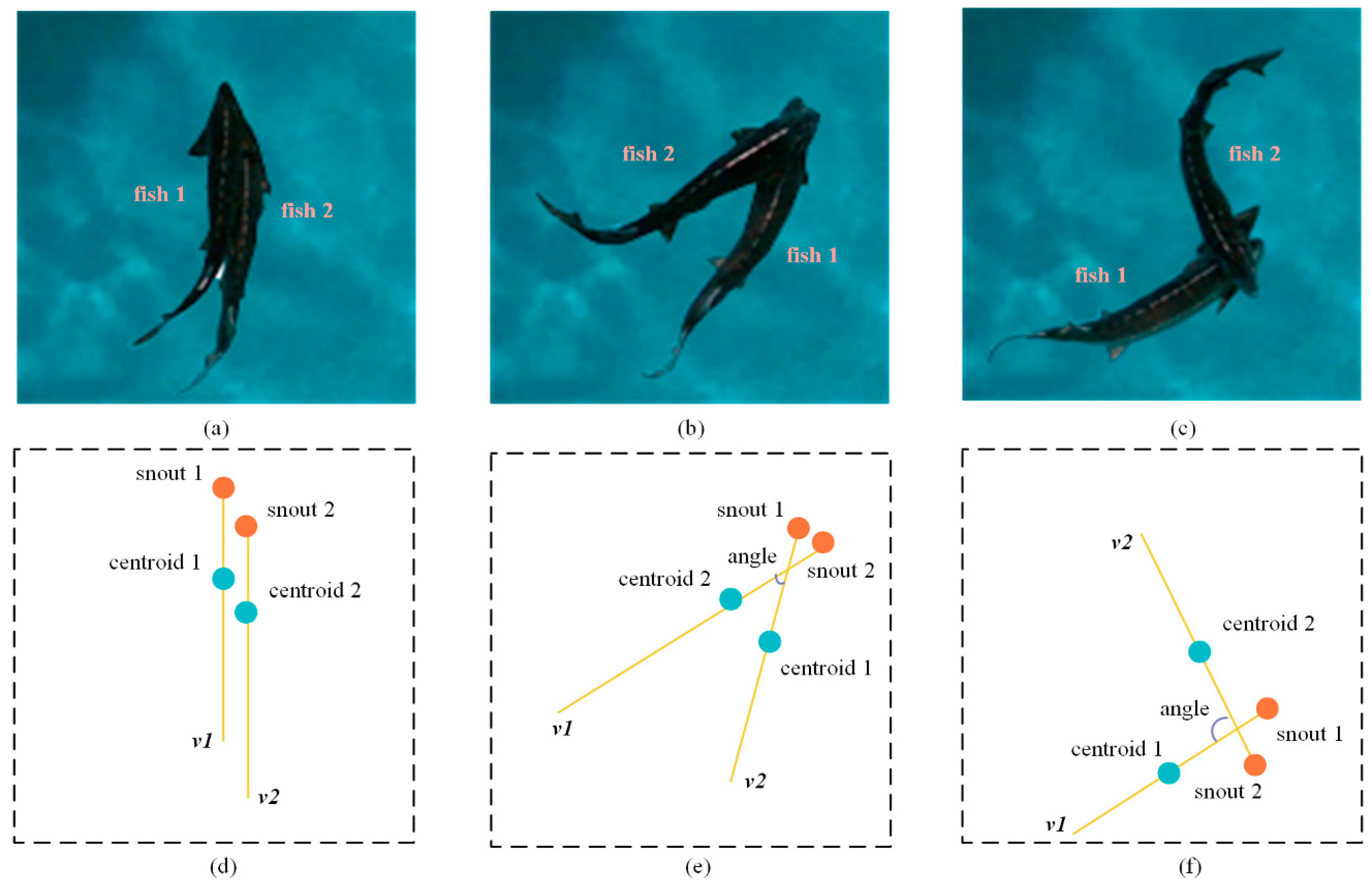 Fishes 09 00458 g006