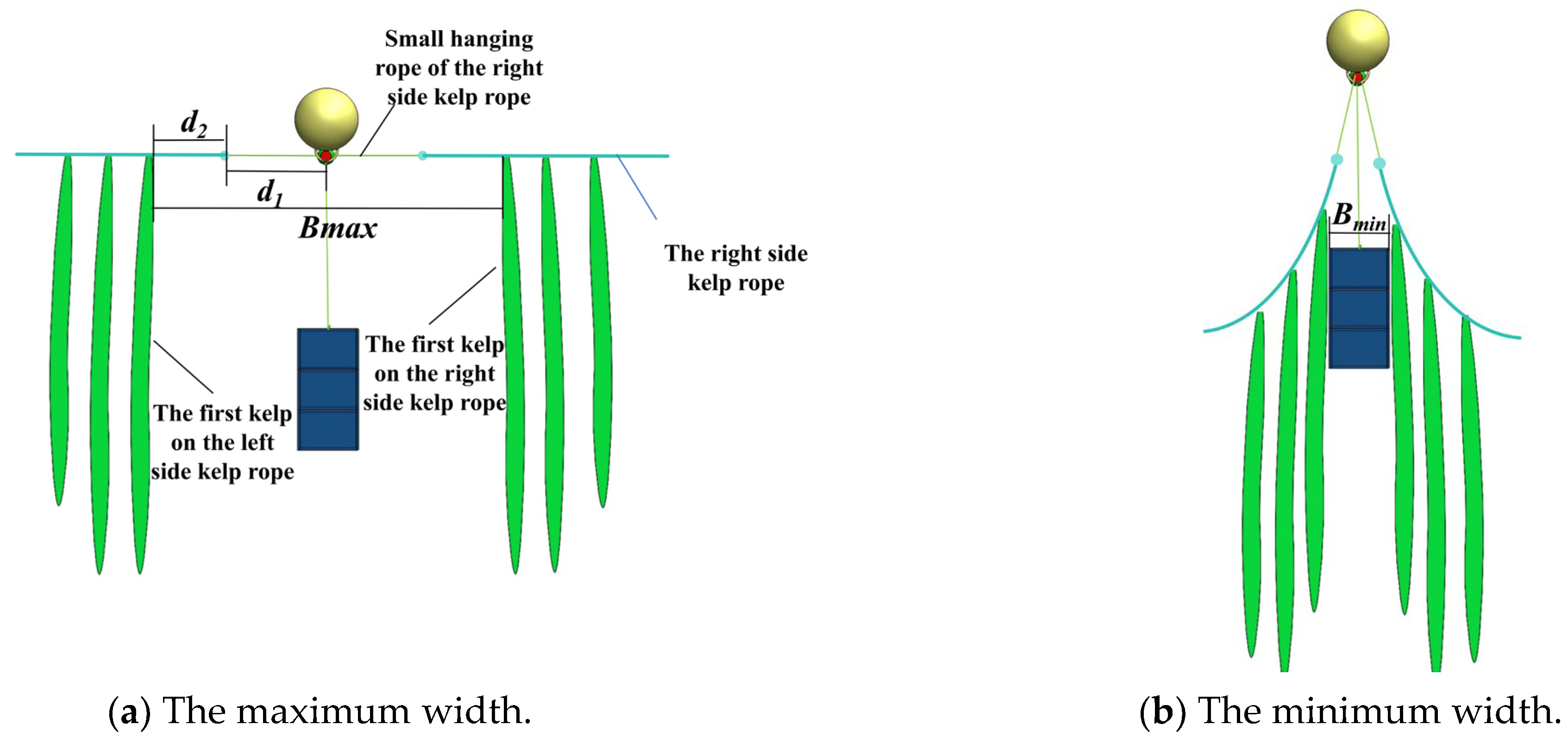 Fishes 09 00464 g005