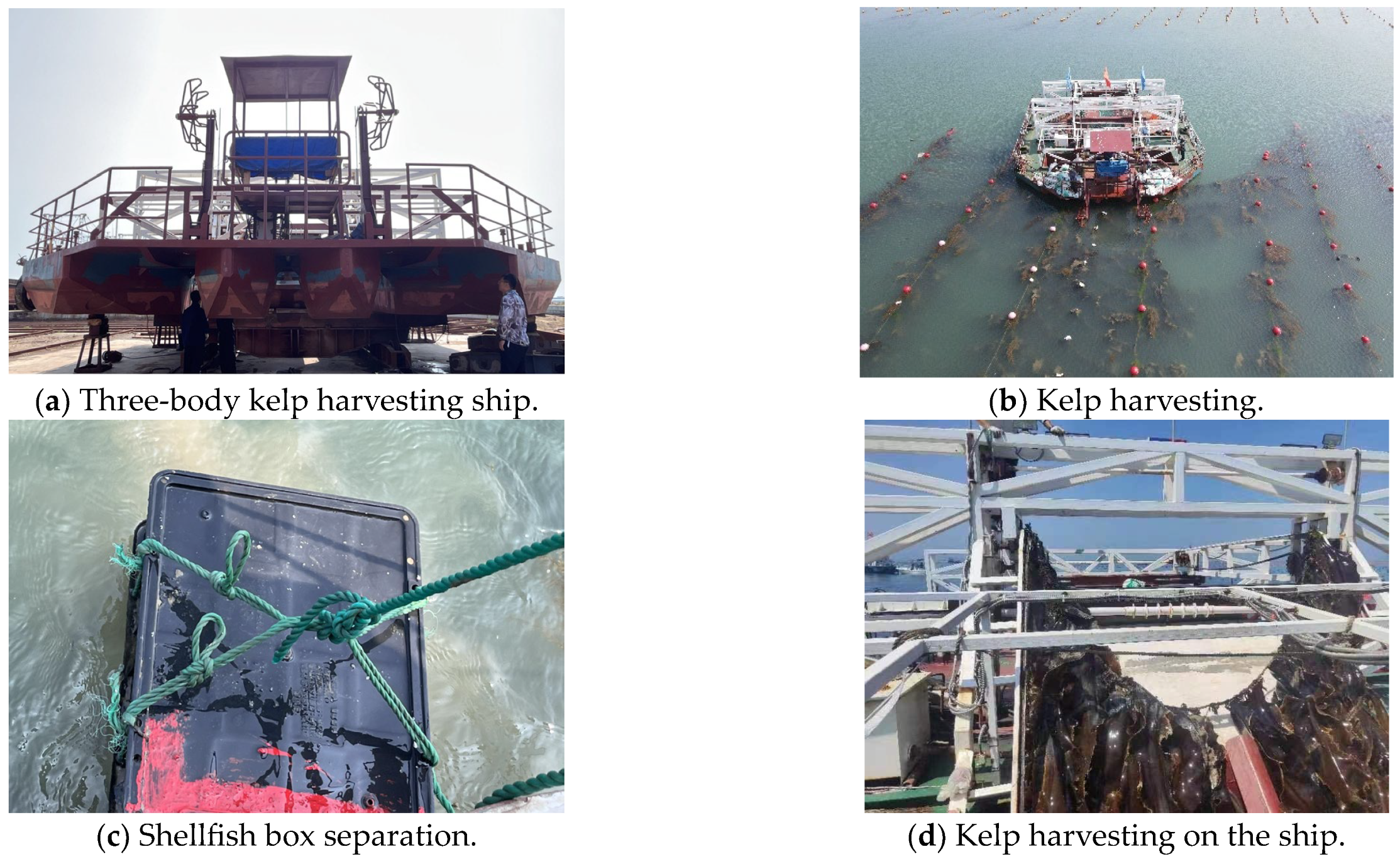 Fishes 09 00464 g018