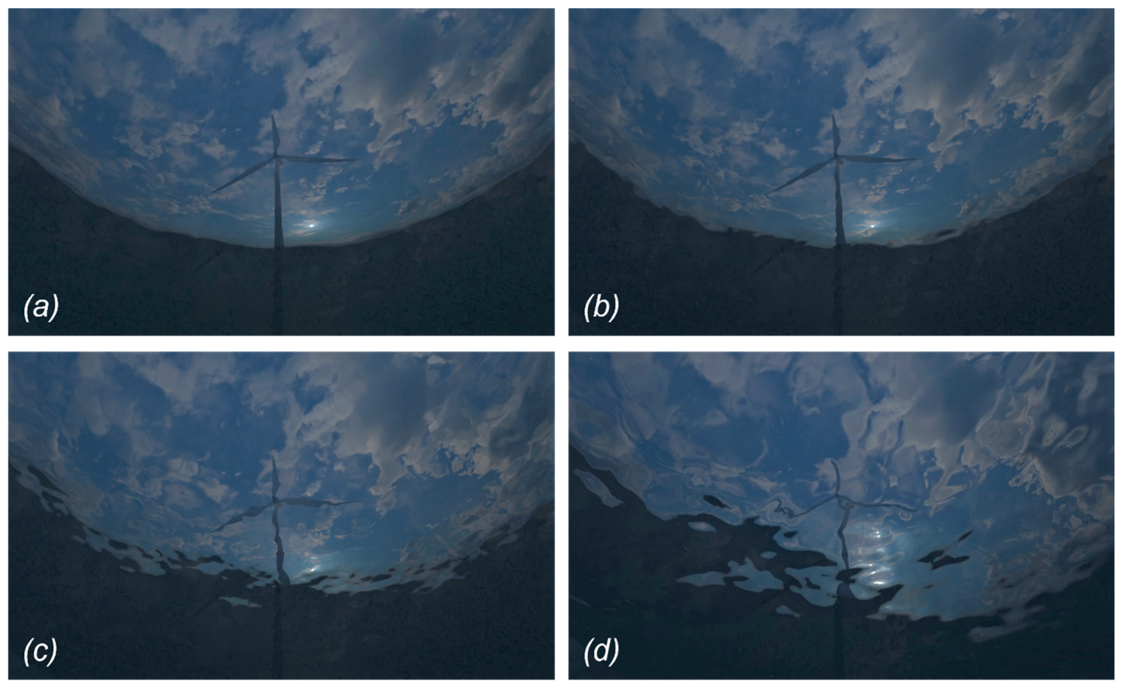 Fishes 09 00482 g005