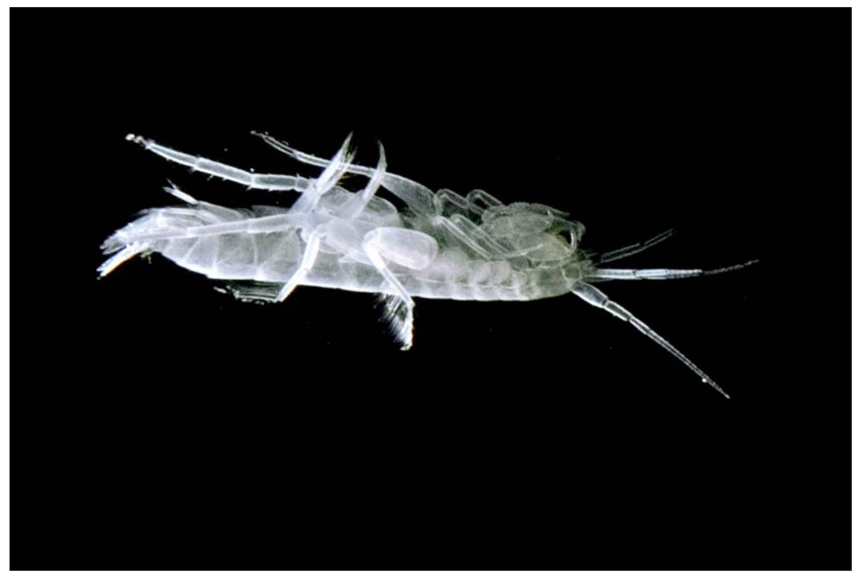 Fishes 09 00494 g006