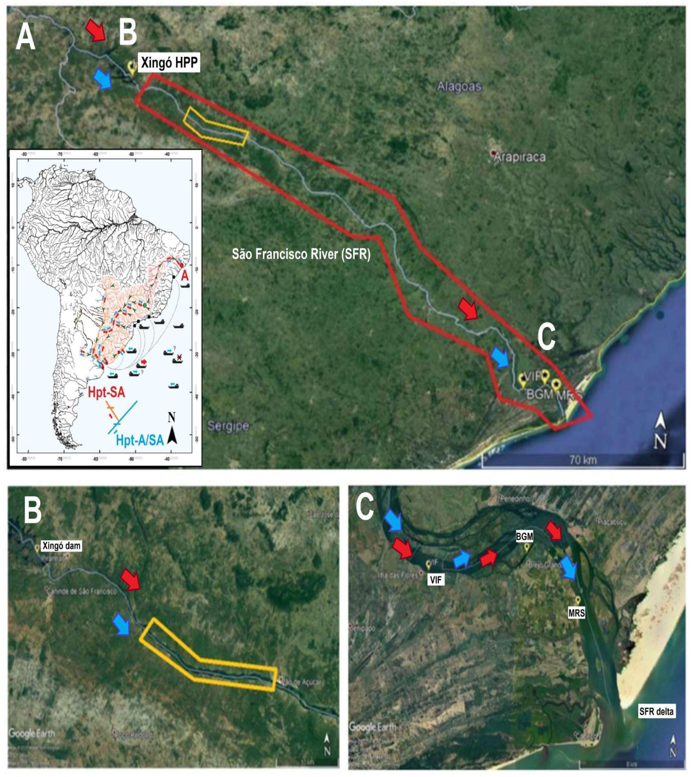 Fishes 09 00499 g001