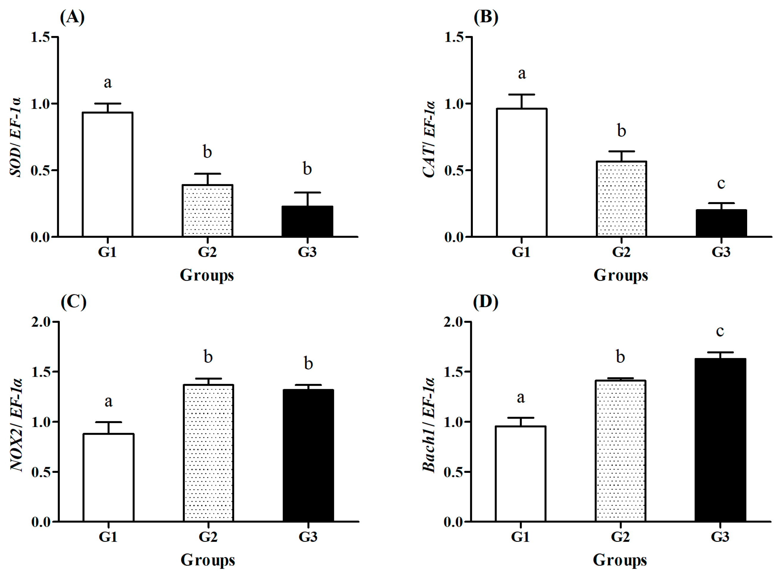 Fishes 09 00502 g005
