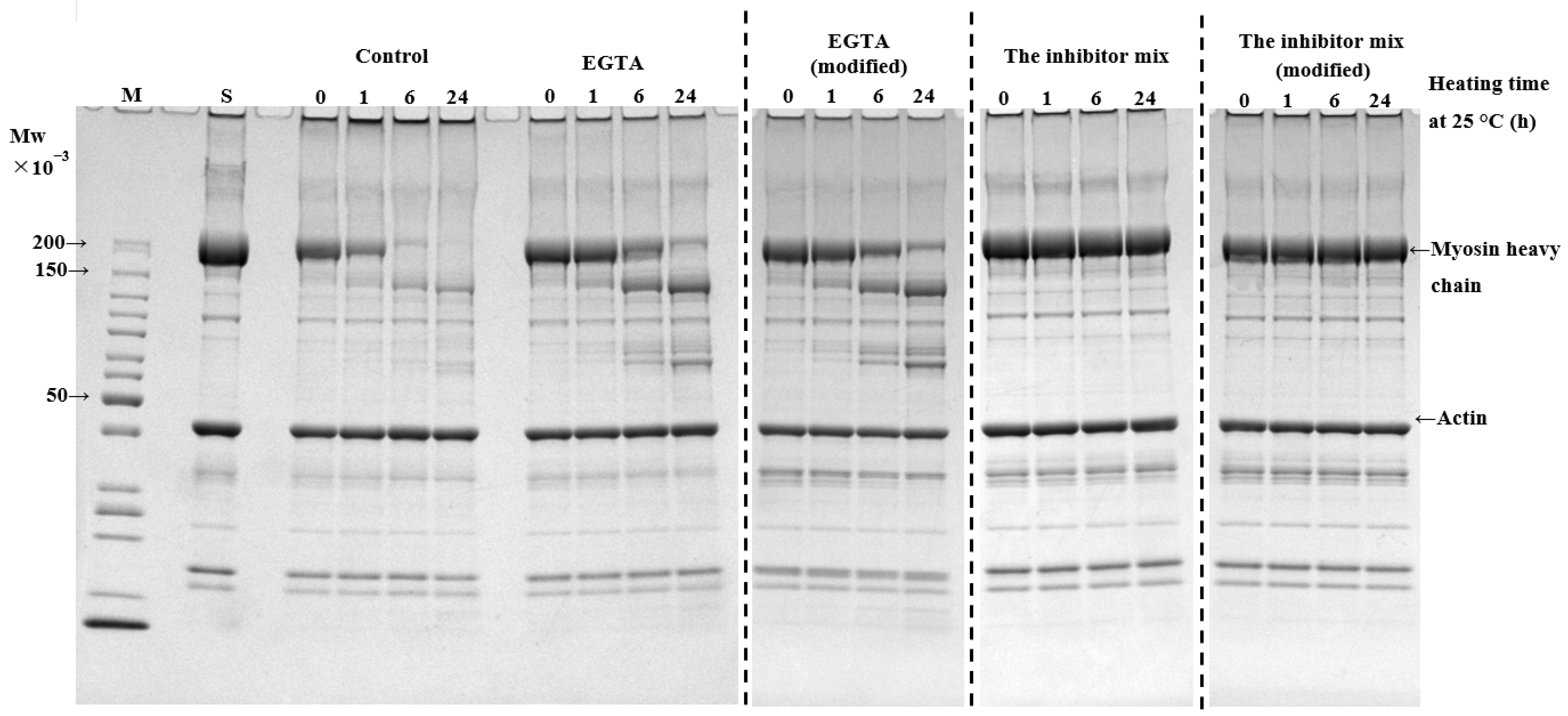 Fishes 09 00504 g004