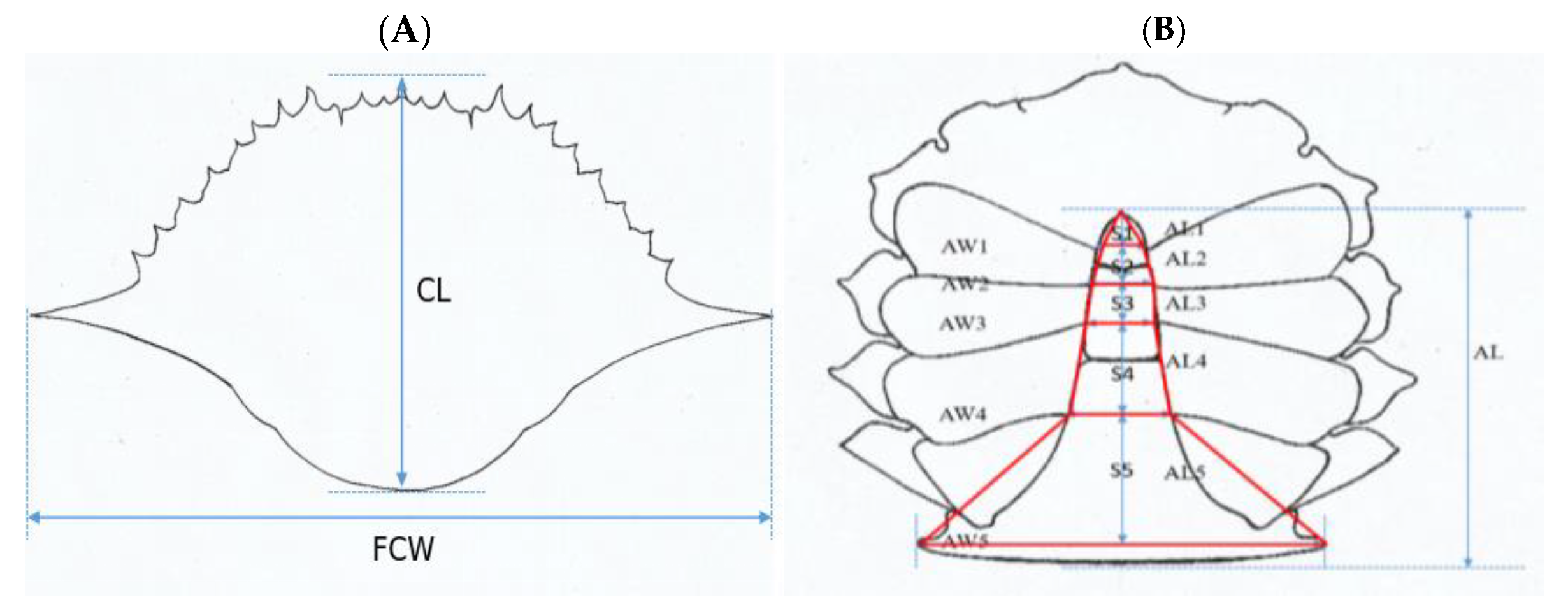 Fishes 10 00008 g001