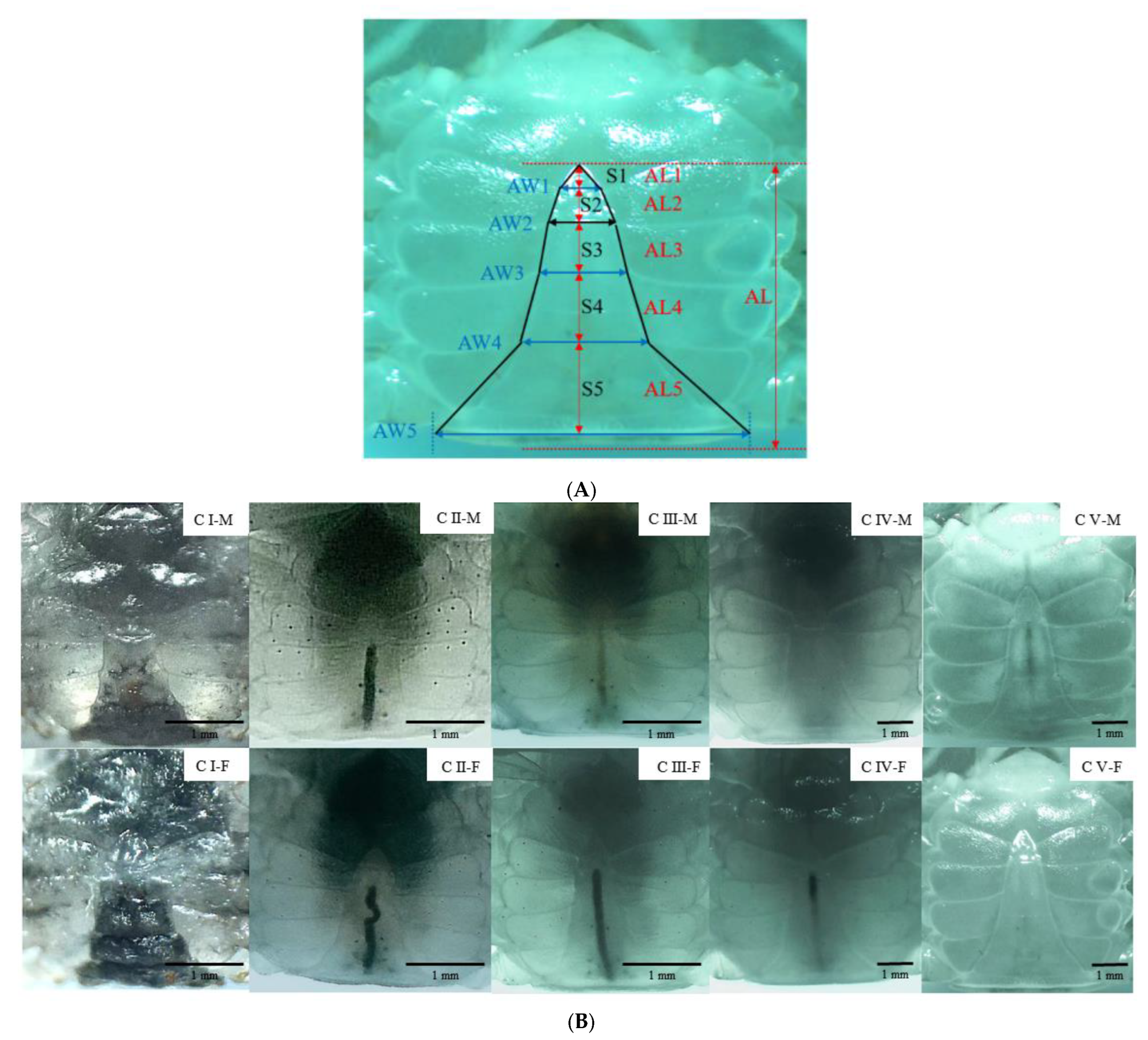 Fishes 10 00008 g003